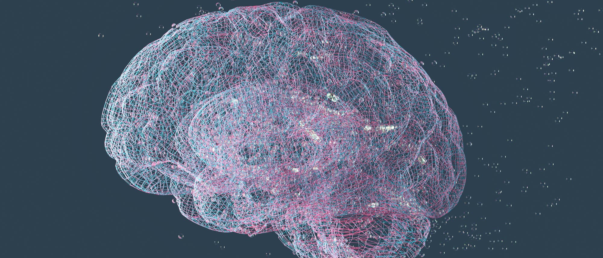Eine digitale Darstellung eines menschlichen Gehirns, bestehend aus einem komplexen Netzwerk aus rosa und blauen Linien und Punkten, die neuronale Verbindungen symbolisieren. Der Hintergrund ist dunkelblau, was den Kontrast zu den leuchtenden Linien verstärkt. Die Struktur vermittelt ein Gefühl von Technologie und Vernetzung, das auf moderne wissenschaftliche und medizinische Konzepte hinweist.