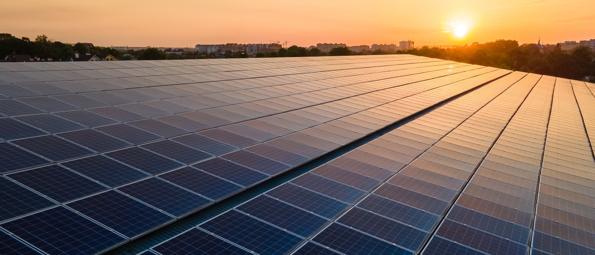 Eine große Fläche von Solarpaneelen erstreckt sich bis zum Horizont, während die Sonne am Himmel untergeht. Die Paneele reflektieren das warme Licht des Sonnenuntergangs. Im Hintergrund sind Bäume und Gebäude zu sehen.