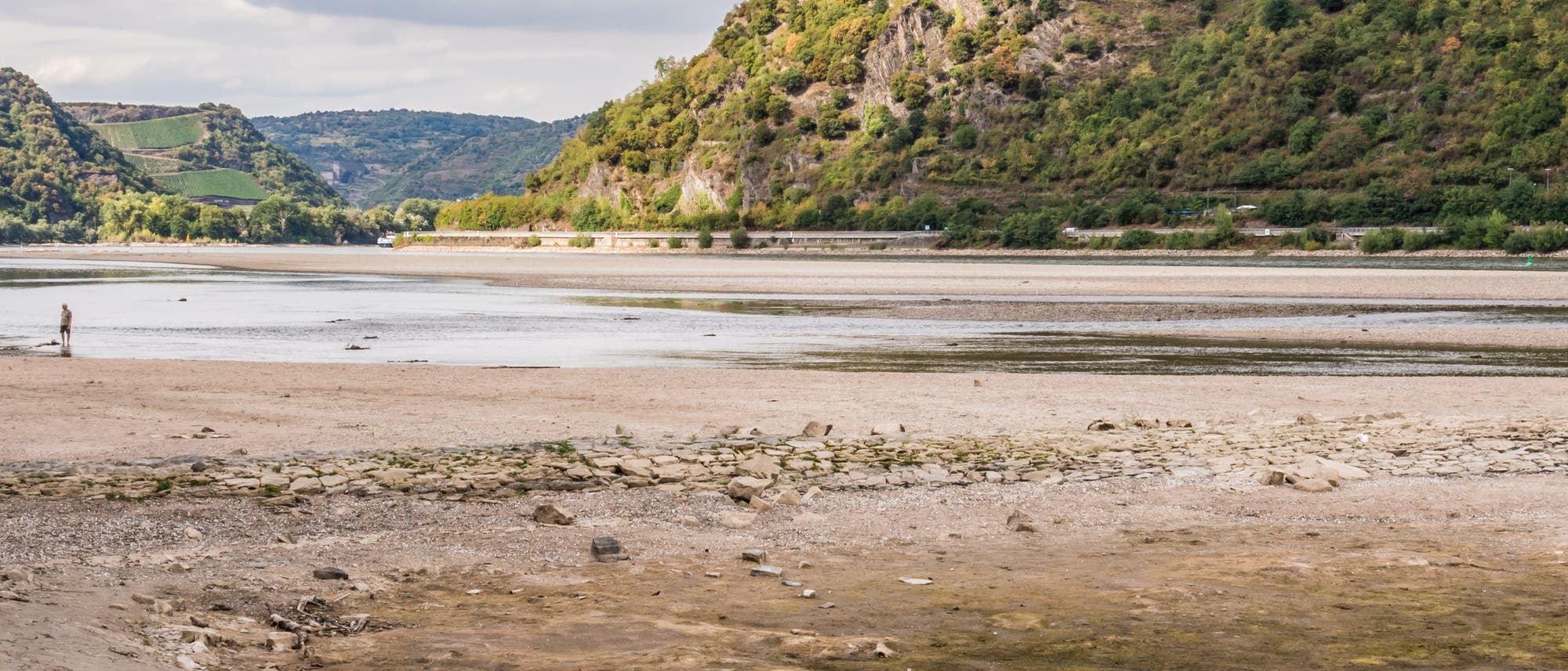 Eine weitl&auml;ufige Flusslandschaft mit niedrigen Wasserst&auml;nden, die das Flussbett freilegen. Im Vordergrund sind sandige und steinige Uferbereiche zu sehen. Eine Person steht am Ufer und blickt auf den Fluss. Im Hintergrund erheben sich bewaldete H&uuml;gel unter einem bew&ouml;lkten Himmel. Die Szene vermittelt ein Gef&uuml;hl von Ruhe und Natur.