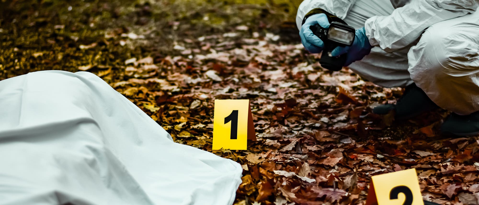 Eine Person in Schutzkleidung kniet auf einem mit Herbstblättern bedeckten Boden und hält eine Kamera. Vor ihr liegen zwei gelbe Beweismarkierungen mit den Nummern 1 und 2. Links im Bild ist ein mit einem weißen Tuch bedeckter Körper zu sehen. Die Szene deutet auf eine forensische Untersuchung hin. Eine Person in Schutzkleidung kniet auf einem mit Herbstblättern bedeckten Boden und hält eine Kamera. Vor ihr liegen zwei gelbe Beweismarkierungen mit den Nummern 1 und 2. Links im Bild ist ein mit einem weißen Tuch bedeckter Körper zu sehen. Die Szene deutet auf eine forensische Untersuchung hin.