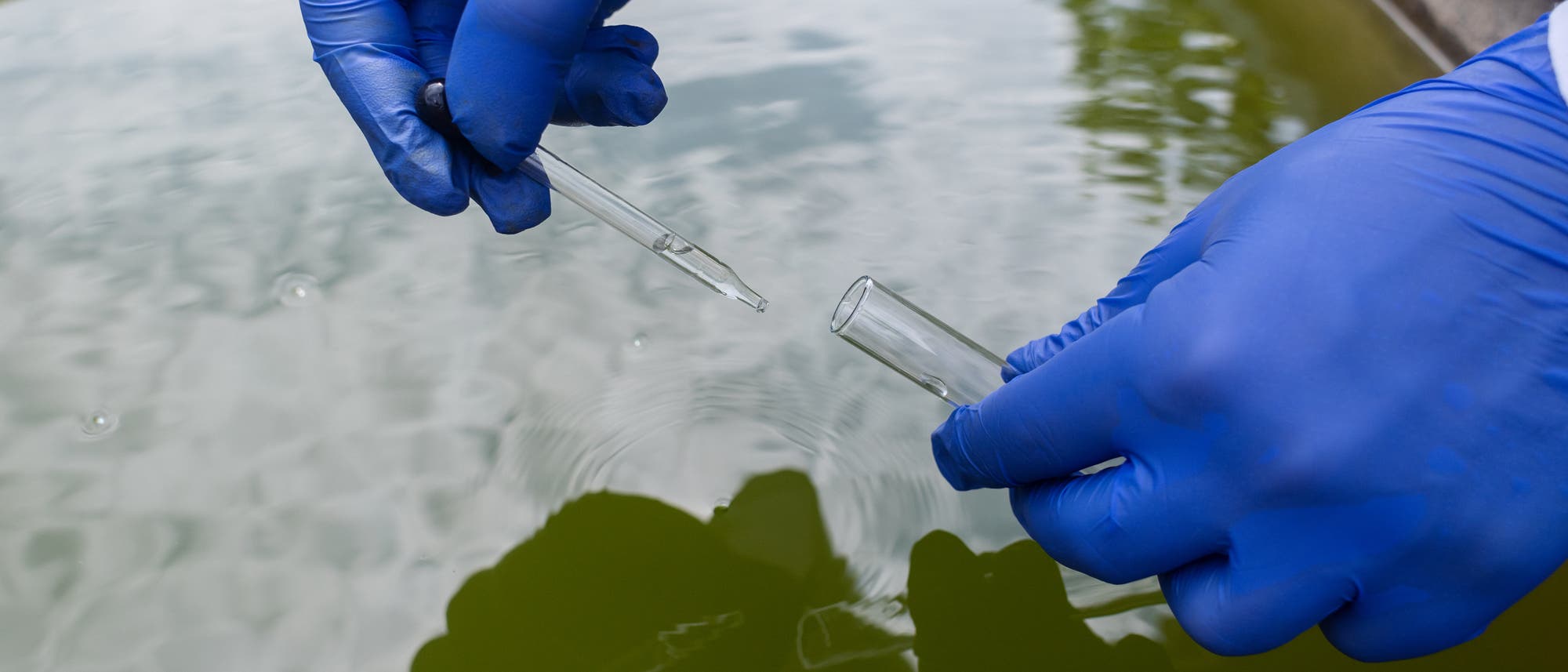 Zwei Hände mit Laborhandschuhen beim Nehmen einer Wasserprobe.