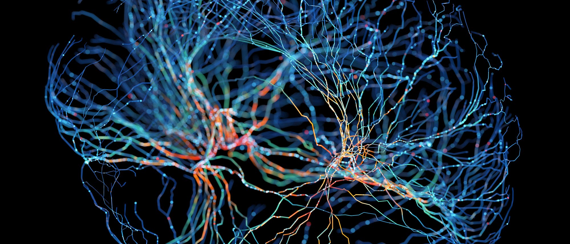 Eine künstlerische Darstellung des neuronalen Netzwerks des Gehirns. Die Abbildung zeigt ein komplexes Geflecht aus leuchtenden, farbigen Linien, die sich in Blau-, Rot- und Orangetönen verzweigen und vor schwarzem Hintergrund vernetzen.