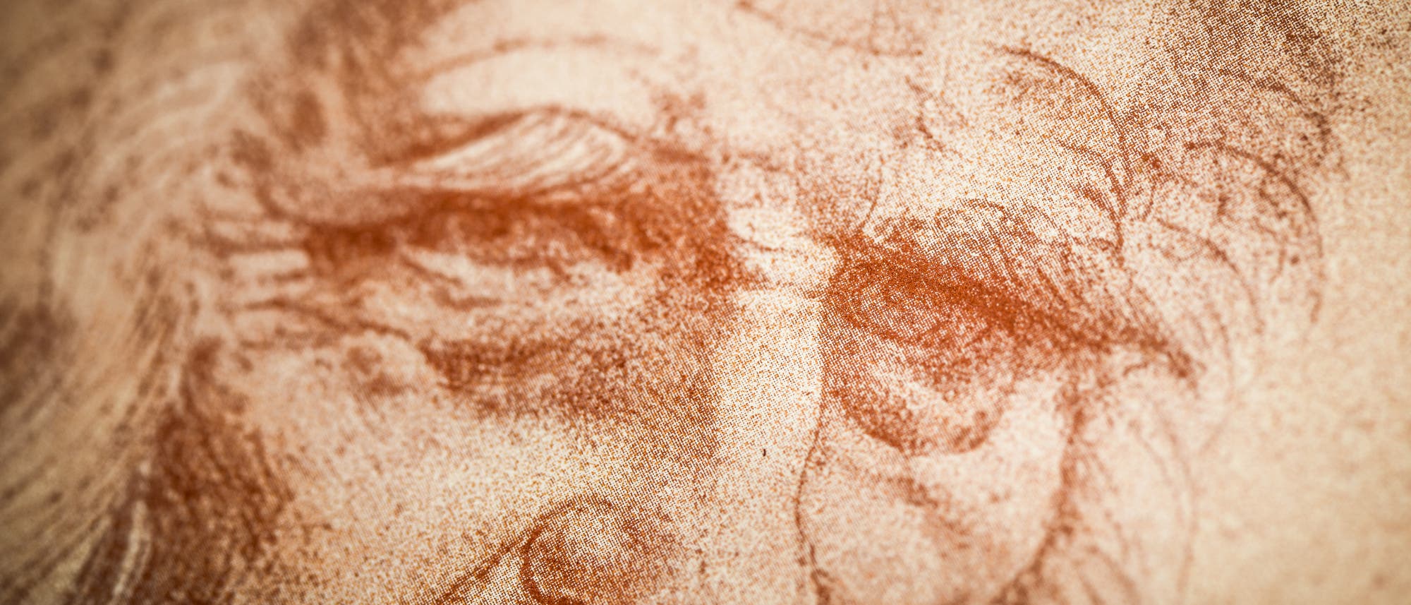 Eine detaillierte Nahaufnahme einer k&uuml;nstlerischen Zeichnung, die einen Teil eines Gesichts zeigt, das mutma&szlig;lich Leonardo da Vinci geh&ouml;rte.