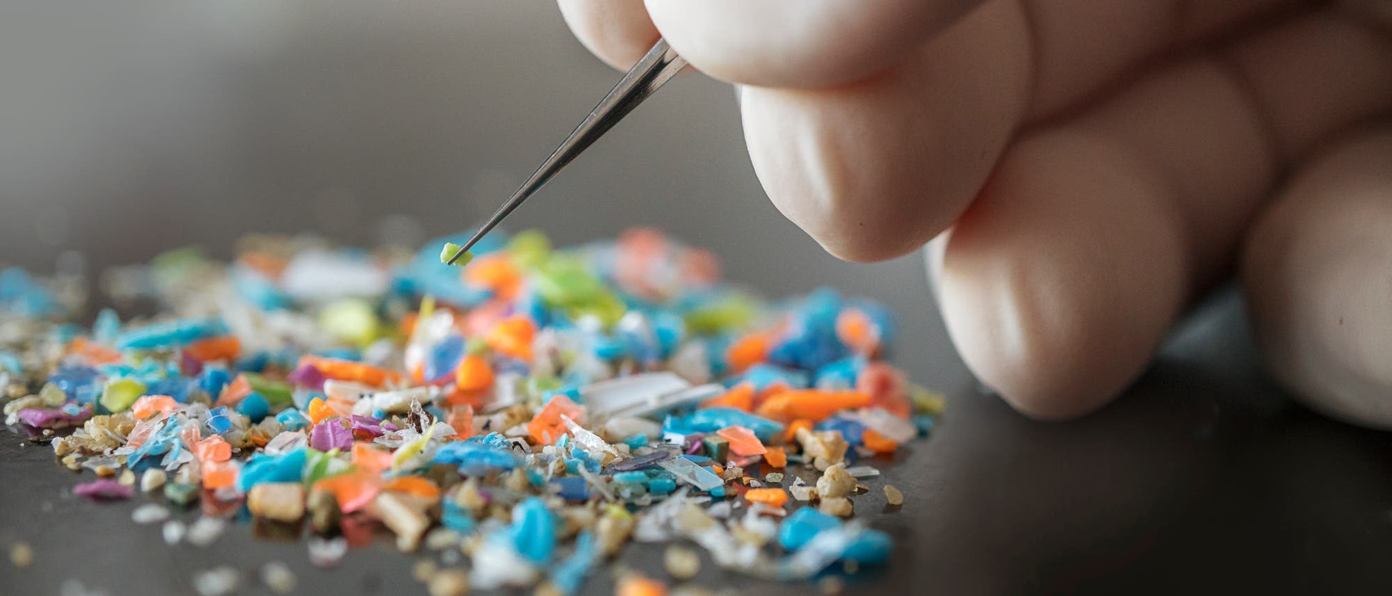 Eine behandschuhte Hand h&auml;lt eine Pinzette und hebt ein kleines St&uuml;ck Mikroplastik von einem Haufen bunter Plastikfragmente auf. Die Fragmente liegen auf einer dunklen Oberfl&auml;che und sind in verschiedenen Farben wie Blau, Orange und Gr&uuml;n. 