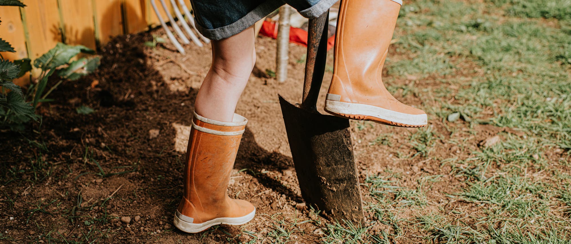 Eine Person in Gummistiefeln gr&auml;bt mit einer Schaufel in einem Garten. Im Hintergrund ist ein Holzzaun und eine Gartenharke zu sehen. Die Szene zeigt eine Gartenarbeitssituation auf einer grasbewachsenen Fl&auml;che.