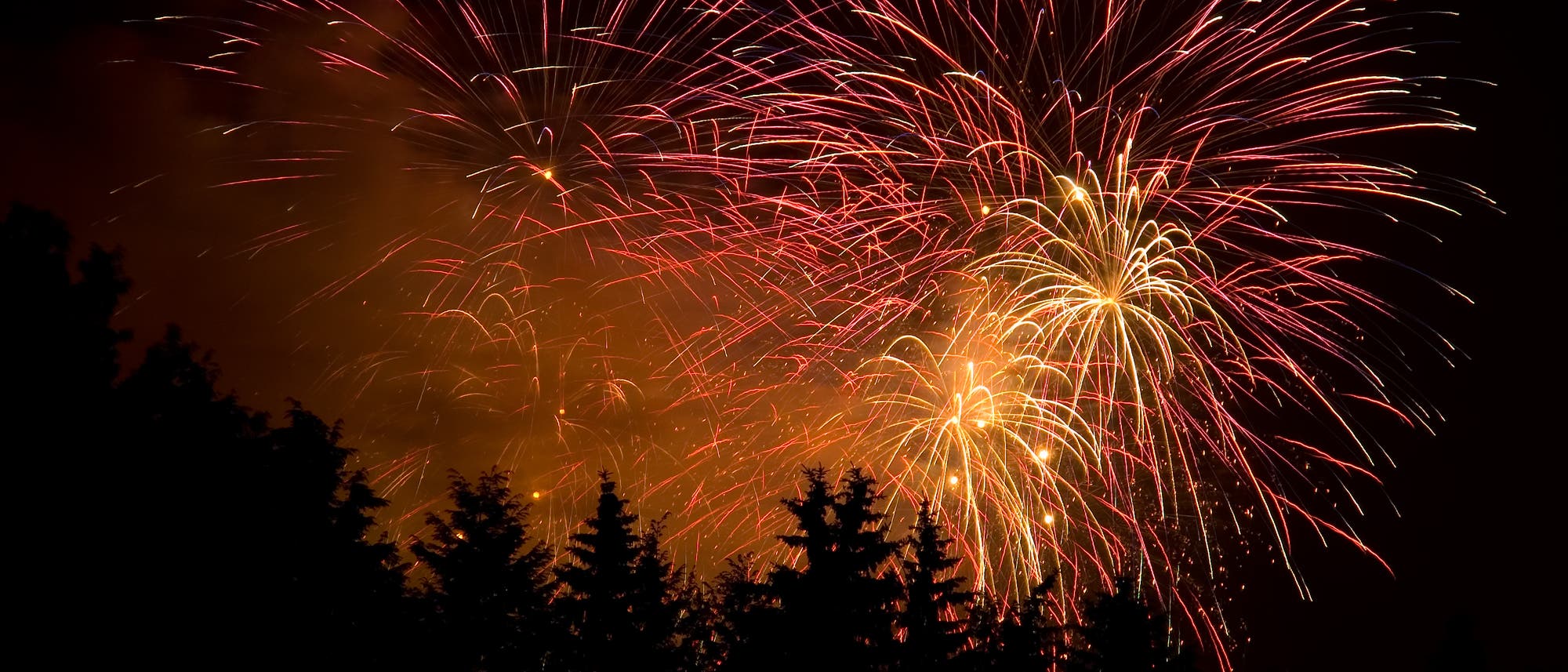 Feuerwerk über Wald