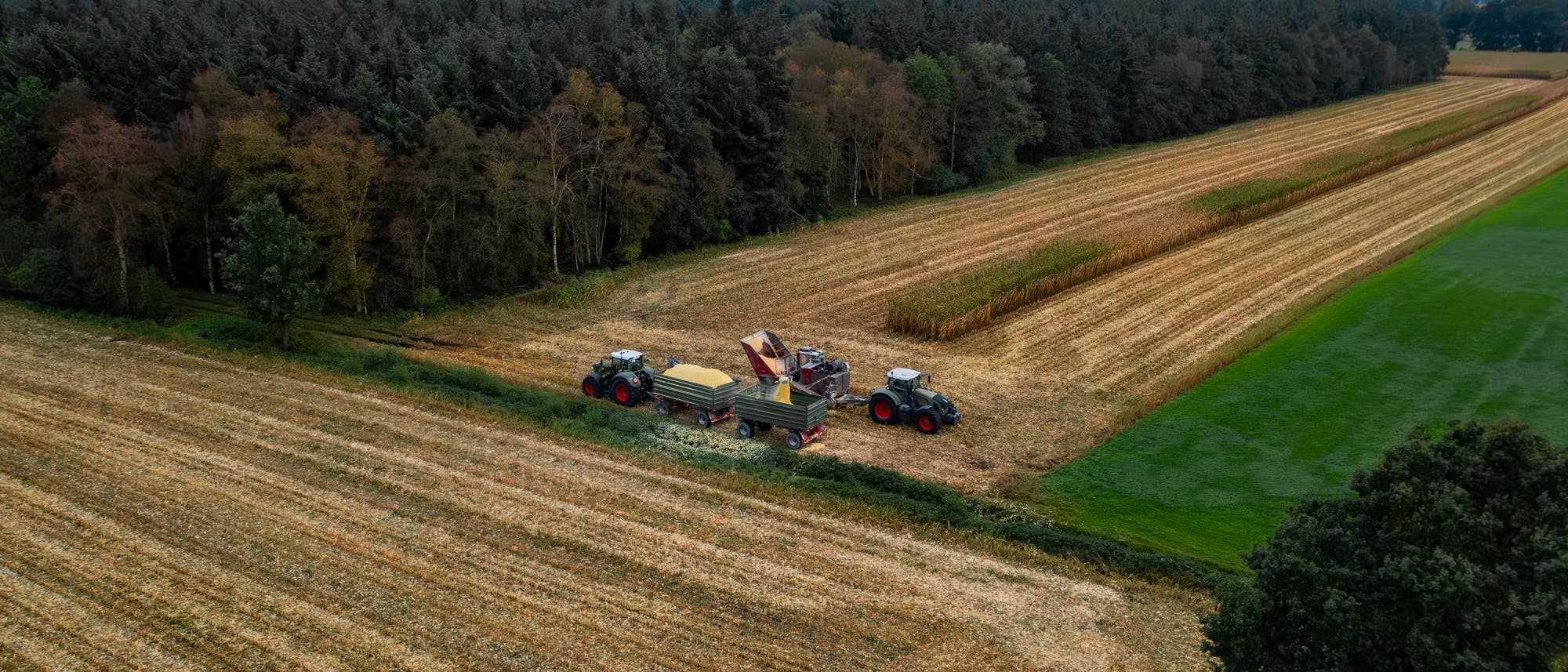 Ein Bauer auf dem Feld beim Heuwenden, Luftaufnahme mit Wald im Hintergrund.