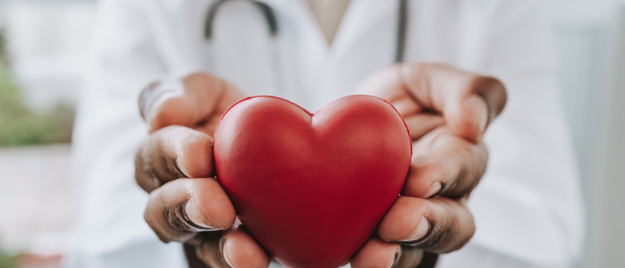 Ein Arzt in einem wei&szlig;en Kittel h&auml;lt ein rotes Herzmodell in den H&auml;nden, das symbolisch f&uuml;r Herzgesundheit und medizinische F&uuml;rsorge steht. Im Hintergrund ist ein Stethoskop sichtbar, das um den Hals des Arztes h&auml;ngt.
