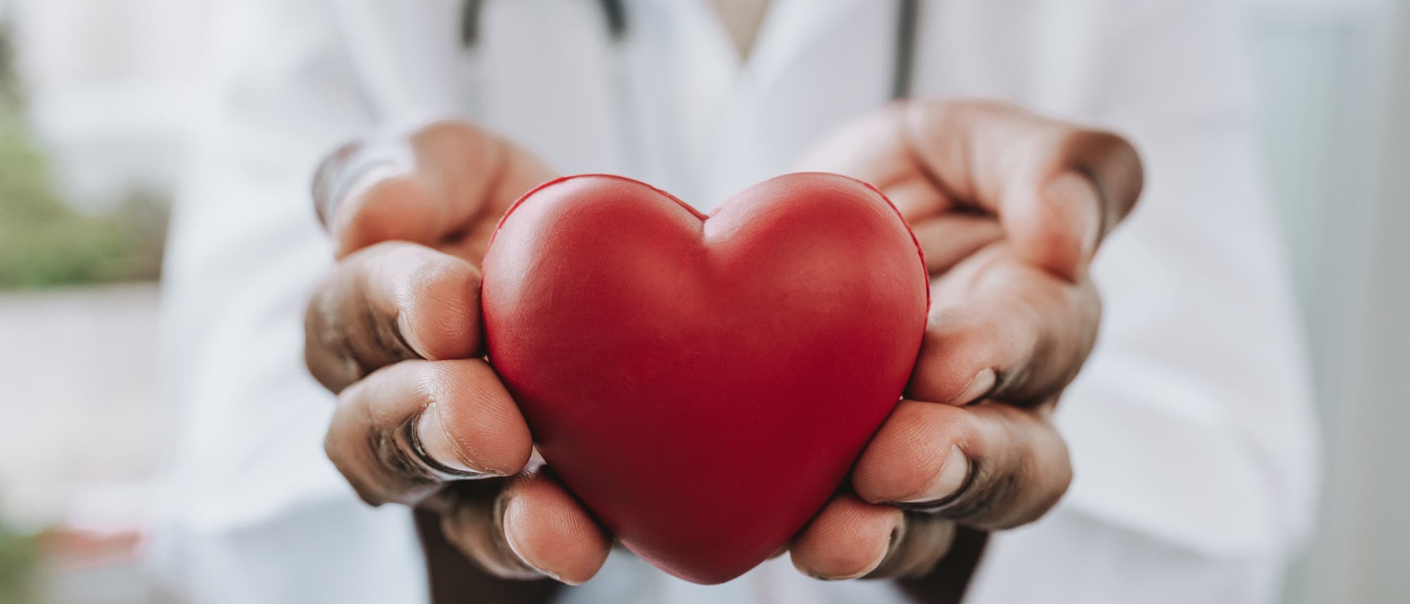 Ein Arzt in einem weißen Kittel hält ein rotes Herzmodell in den Händen, das symbolisch für Herzgesundheit und medizinische Fürsorge steht. Im Hintergrund ist ein Stethoskop sichtbar, das um den Hals des Arztes hängt.