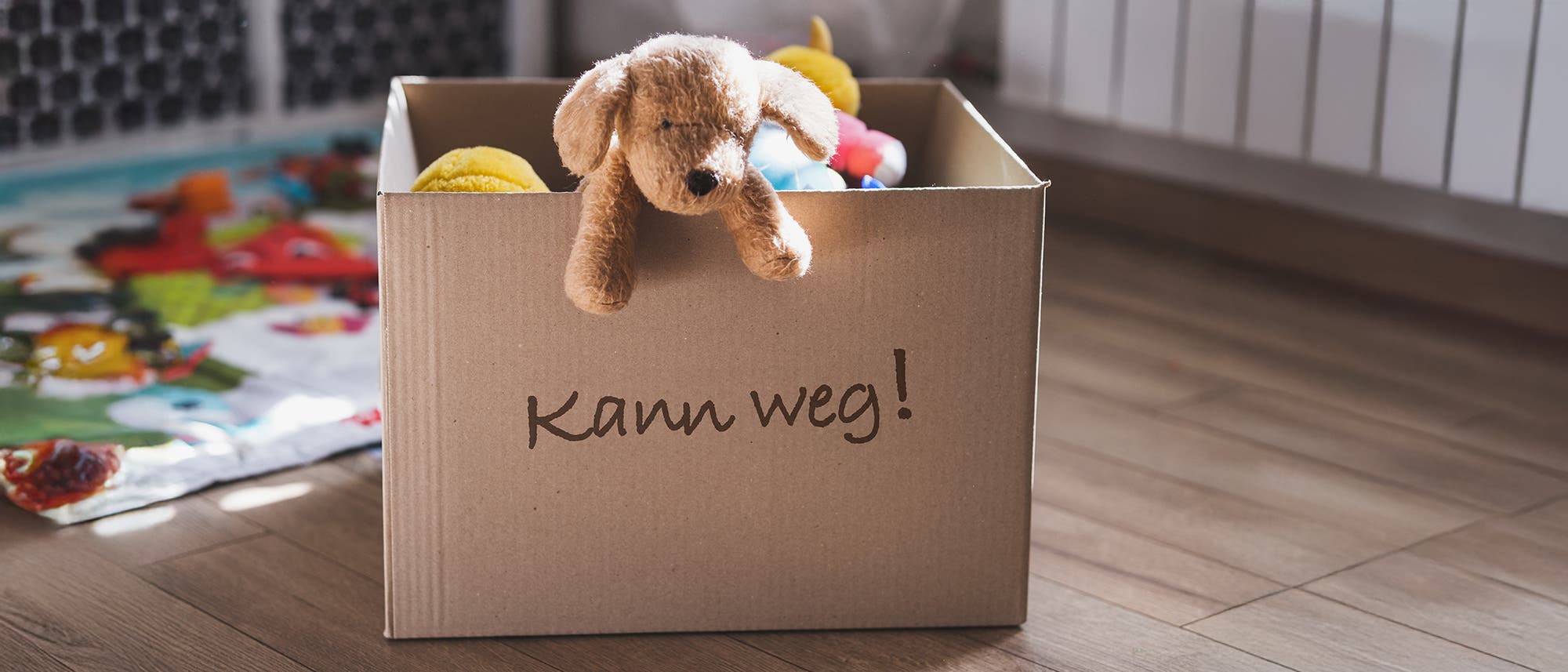 Ein Pappkarton steht auf einem Holzboden. Auf dem Karton steht in handgeschriebener Schrift "Kann weg!". Ein Pl&uuml;schtier in Form eines Hundes h&auml;ngt &uuml;ber den Rand des Kartons und schaut in die Kamera. Im Hintergrund links ist ein bunter Kinderteppich zu sehen.