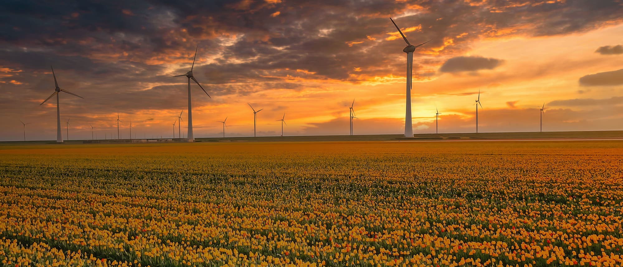 Windkraftpark vor blauem Himmel und grünem Ackerland