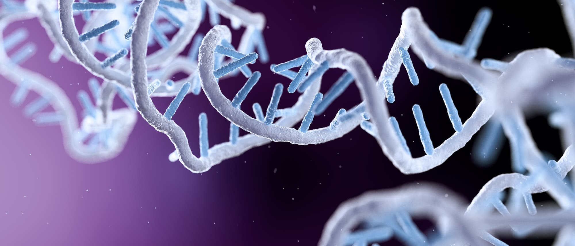 Eine detaillierte 3D-Darstellung einer gewundenen, spiralförmigen Struktur, die an eine DNA- oder RNA-Doppelhelix erinnert. Die Struktur besteht aus blauen und weißen Elementen, die sich regelmäßig entlang der Helix anordnen. Der Hintergrund ist in einem tiefen Violett gehalten, was die Struktur hervorhebt. Die Darstellung vermittelt ein wissenschaftliches und molekulares Thema. Eine detaillierte 3D-Darstellung einer gewundenen, spiralförmigen Struktur, die an eine DNA- oder RNA-Doppelhelix erinnert. Die Struktur besteht aus blauen und weißen Elementen, die sich regelmäßig entlang der Helix anordnen. Der Hintergrund ist in einem tiefen Violett gehalten, was die Struktur hervorhebt. Die Darstellung vermittelt ein wissenschaftliches und molekulares Thema.