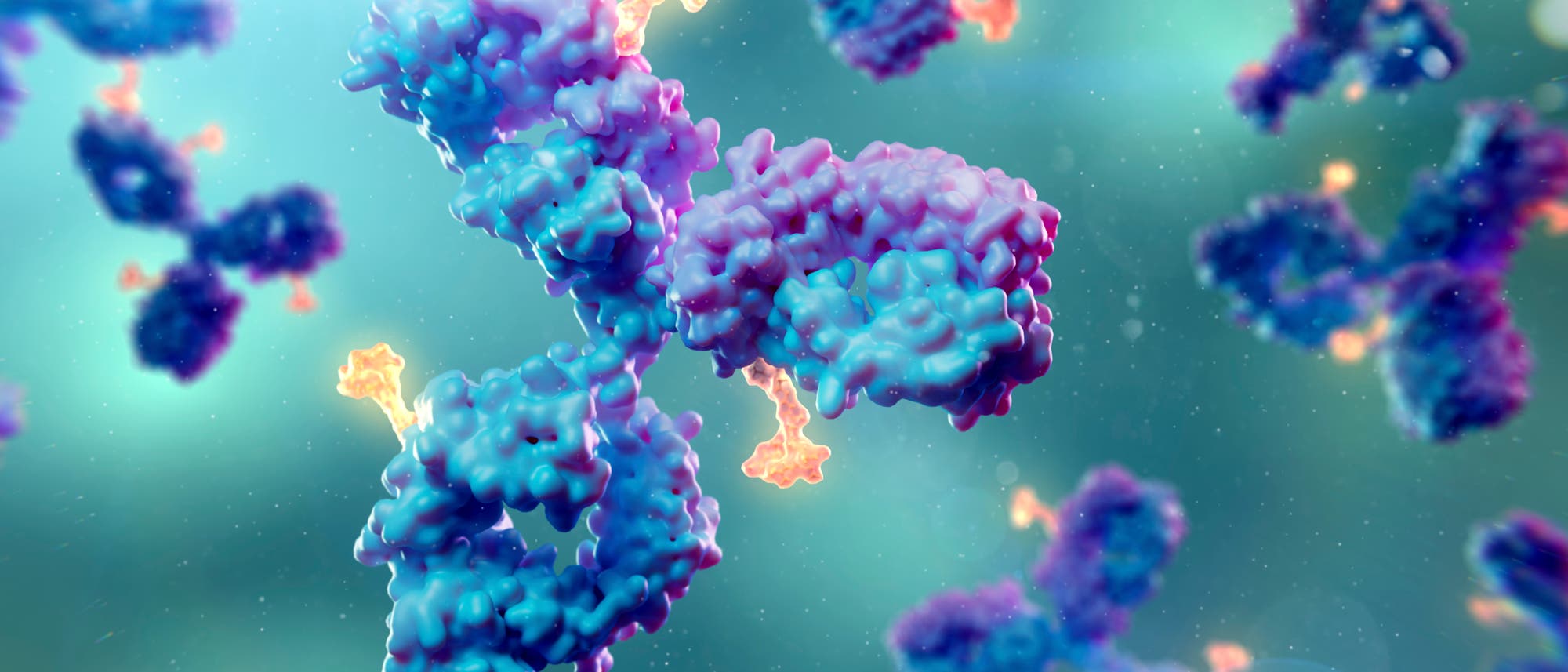 Illustration von Antikörper-Wirkstoff-Konjugaten. Antikörper-Wirkstoff-Konjugate bestehen aus einem Antikörper (blau), der sich spezifisch an bestimmte Oberflächenmerkmale von Krebszellen heftet, und einem daran gekoppelten Chemotherapeutikum (orange). Sie sind über ein sogenanntes Linker-Molekül miteinander verbunden.