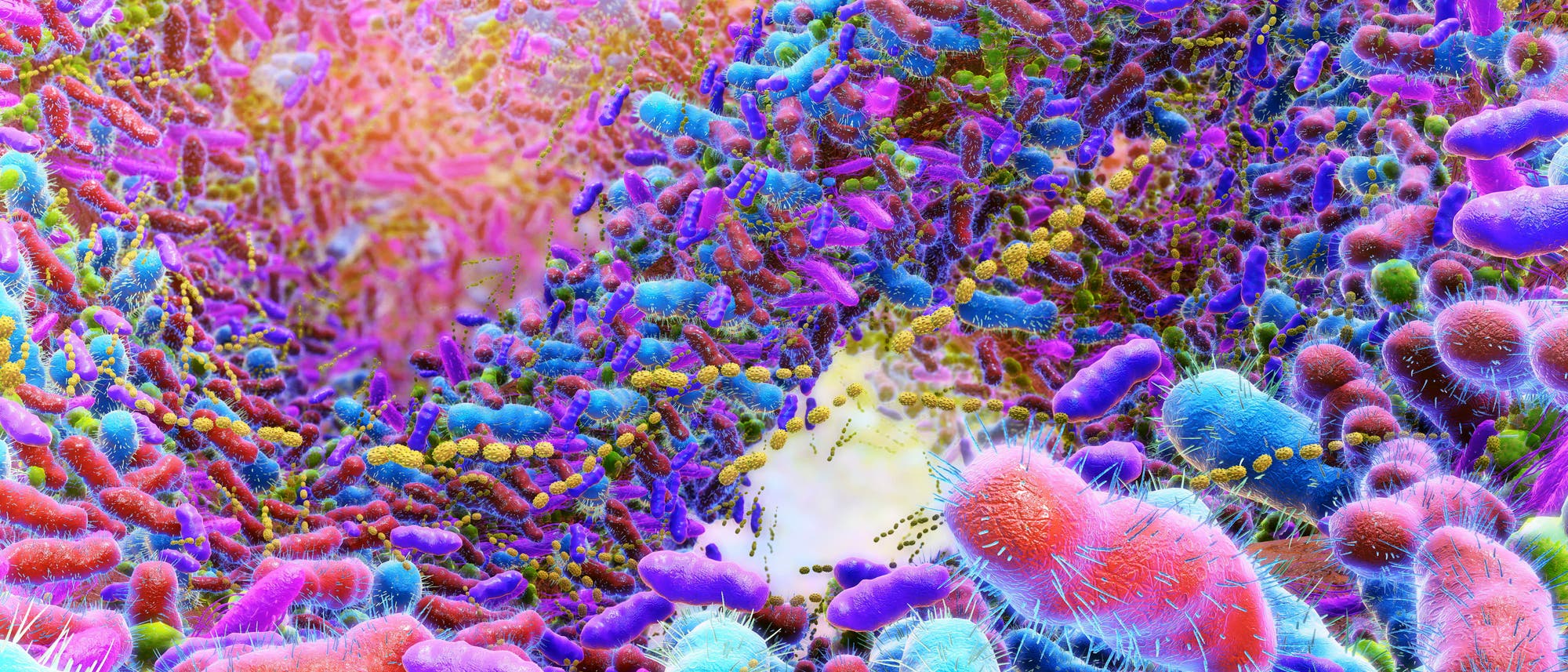 Fluoreszenzmikroskopisches Bild einer Vielzahl von Bakterien in leuchtenden Farben. Die Bakterien sind in unterschiedlichen Formen und Größen dargestellt, darunter stäbchenförmige und kugelförmige Strukturen. Die Farben reichen von Blau und Rot bis zu Grün und Gelb, was auf verschiedene Arten oder Zustände hinweisen könnte. Die Anordnung der Bakterien scheint chaotisch, mit einer zentralen Öffnung, die möglicherweise auf eine Bewegung oder Interaktion hinweist. Das Bild veranschaulicht die Vielfalt und Komplexität mikrobieller Gemeinschaften. Fluoreszenzmikroskopisches Bild einer Vielzahl von Bakterien in leuchtenden Farben. Die Bakterien sind in unterschiedlichen Formen und Größen dargestellt, darunter stäbchenförmige und kugelförmige Strukturen. Die Farben reichen von Blau und Rot bis zu Grün und Gelb, was auf verschiedene Arten oder Zustände hinweisen könnte. Die Anordnung der Bakterien scheint chaotisch, mit einer zentralen Öffnung, die möglicherweise auf eine Bewegung oder Interaktion hinweist. Das Bild veranschaulicht die Vielfalt und Komplexität mikrobieller Gemeinschaften.