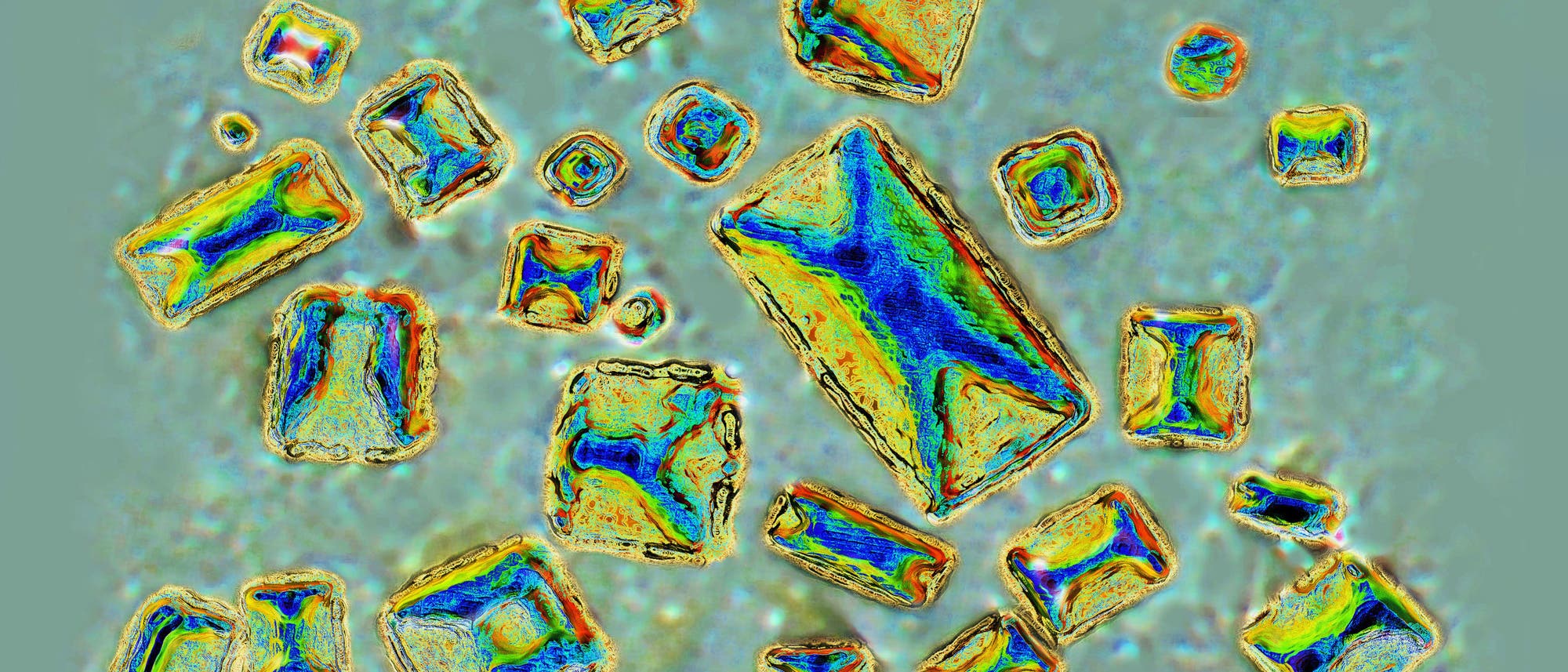 Fluoreszenzmikroskopisches Bild von rechteckigen Kristallen in verschiedenen Gr&ouml;&szlig;en und Farben. Die Kristalle zeigen lebendige Farbmuster in Blau, Gr&uuml;n, Gelb und Rot auf einem unscharfen, grauen Hintergrund. Die Anordnung der Kristalle wirkt zuf&auml;llig verteilt.