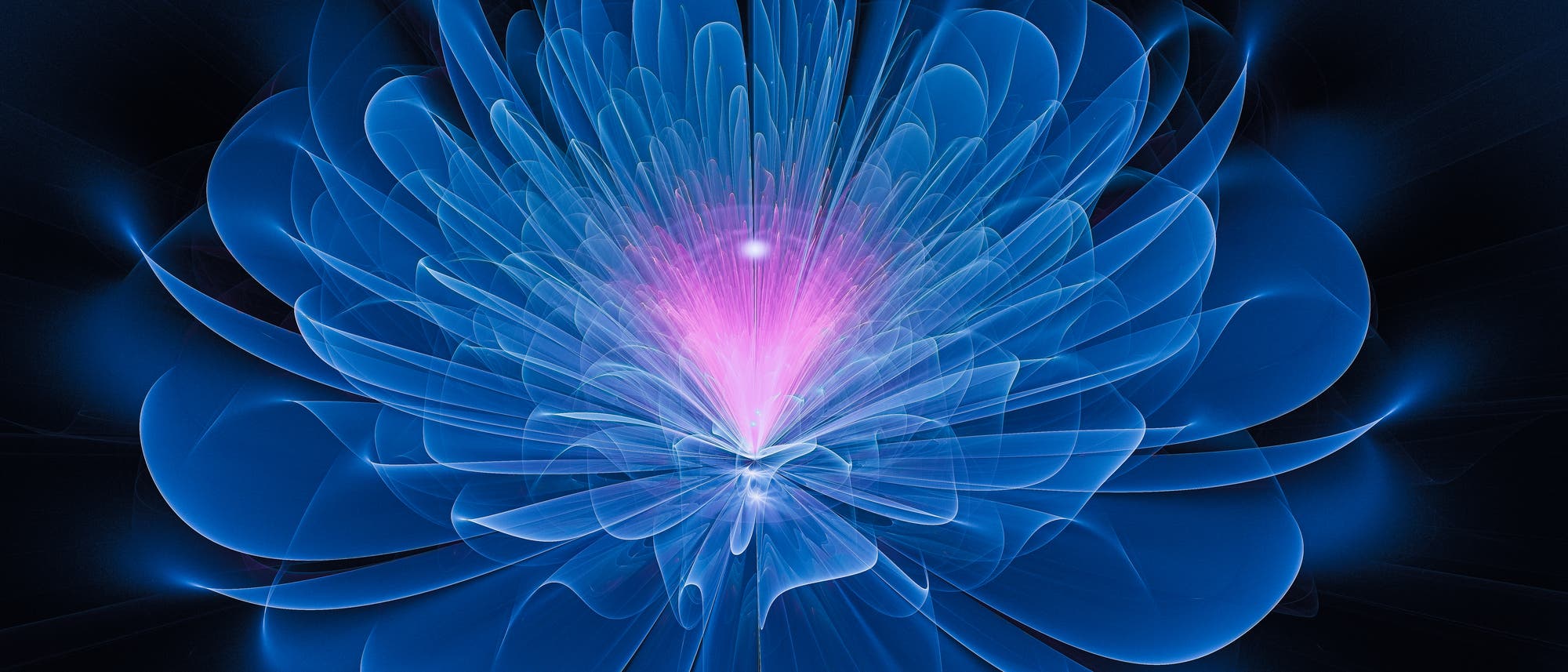 Eine digitale Illustration zeigt eine abstrakte Blume mit leuchtenden, durchscheinenden Blütenblättern in Blau und einem strahlenden, pinkfarbenen Zentrum. Die Blume wirkt dreidimensional und schwebt vor einem dunklen Hintergrund, was einen leuchtenden Kontrast erzeugt. Die Komposition vermittelt ein Gefühl von Energie und Bewegung. Eine digitale Illustration zeigt eine abstrakte Blume mit leuchtenden, durchscheinenden Blütenblättern in Blau und einem strahlenden, pinkfarbenen Zentrum. Die Blume wirkt dreidimensional und schwebt vor einem dunklen Hintergrund, was einen leuchtenden Kontrast erzeugt. Die Komposition vermittelt ein Gefühl von Energie und Bewegung.