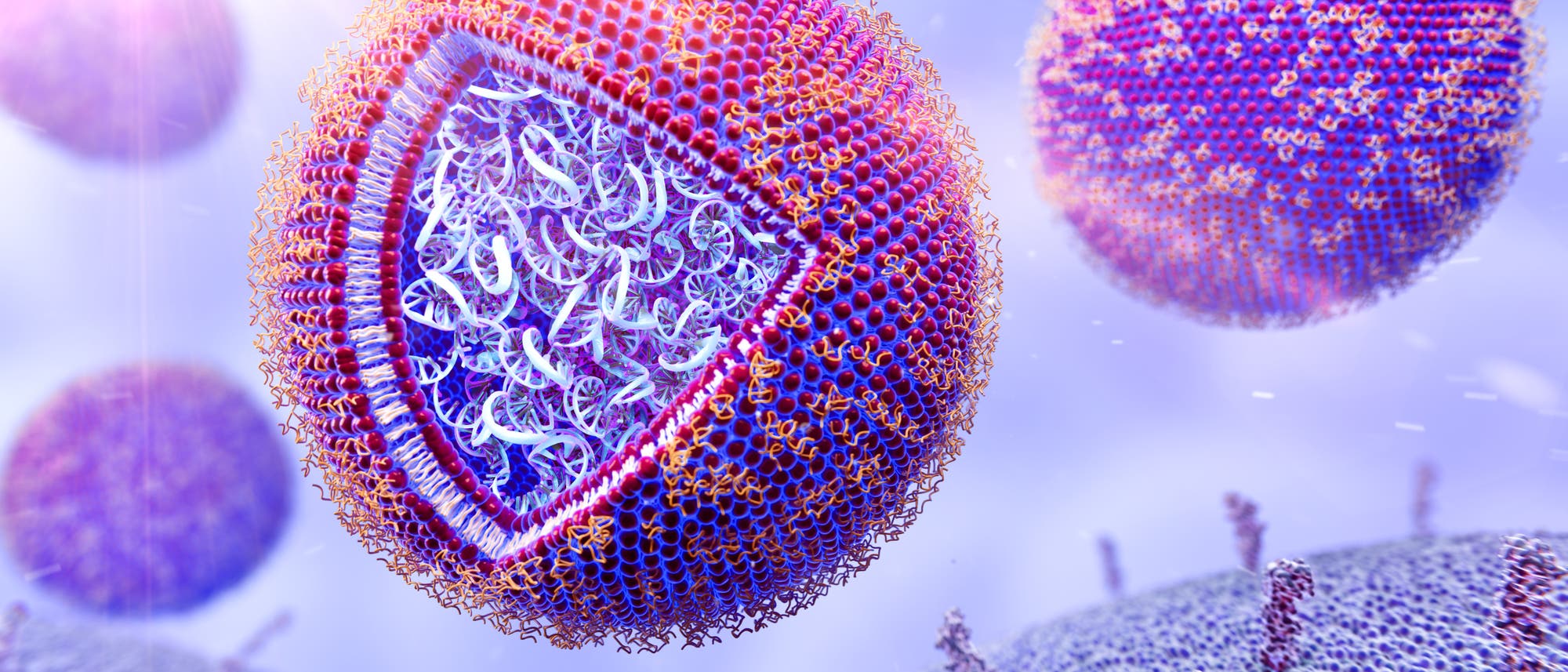 3D-Darstellung von kugelf&ouml;rmigen Lipidpartikeln mit eingeschlossener mRNA. Die &auml;u&szlig;ere H&uuml;lle besteht aus einer dichten Anordnung von Lipidmolek&uuml;len, das Innere aus RNA-Str&auml;ngen. Die Partikel schweben in einer bl&auml;ulichen Umgebung, die das w&auml;ssrige Milieu im K&ouml;rperinnern darstellt.