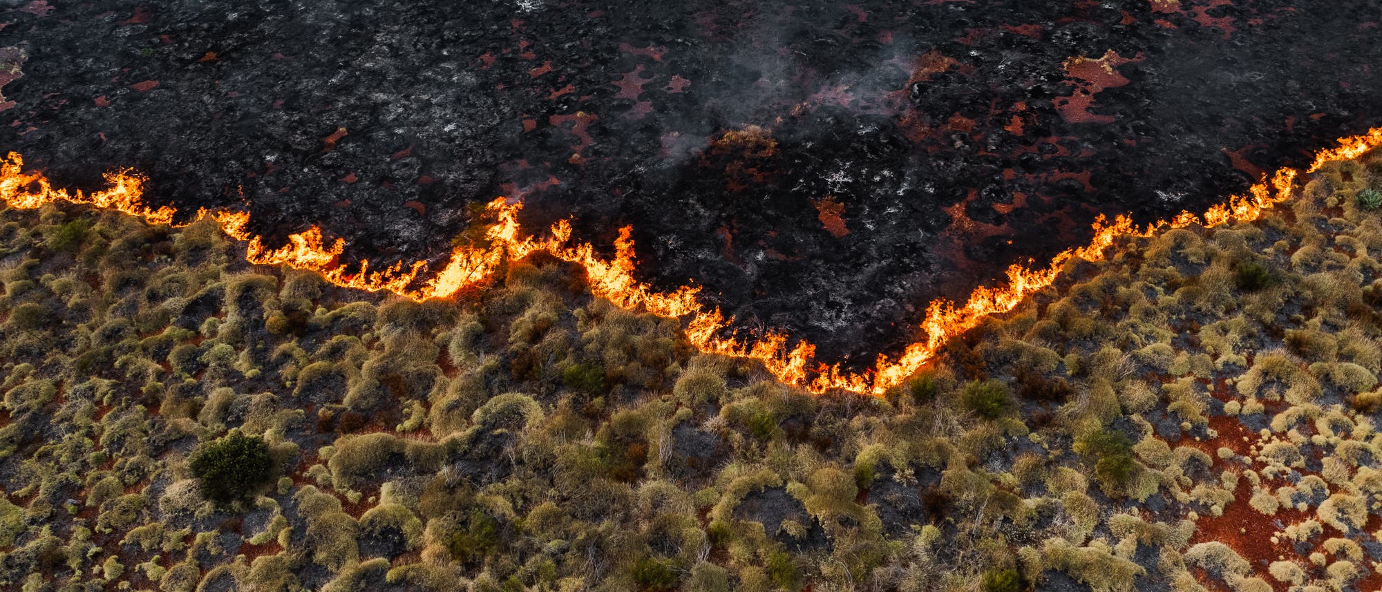 Luftaufnahme eines Buschfeuers, das sich durch eine trockene Landschaft mit Gras und B&uuml;schen zieht. Die Flammen bilden eine klare Linie zwischen verbrannter und unber&uuml;hrter Vegetation. Rauch steigt von der verbrannten Fl&auml;che auf, w&auml;hrend die Flammen sich weiter ausbreiten.