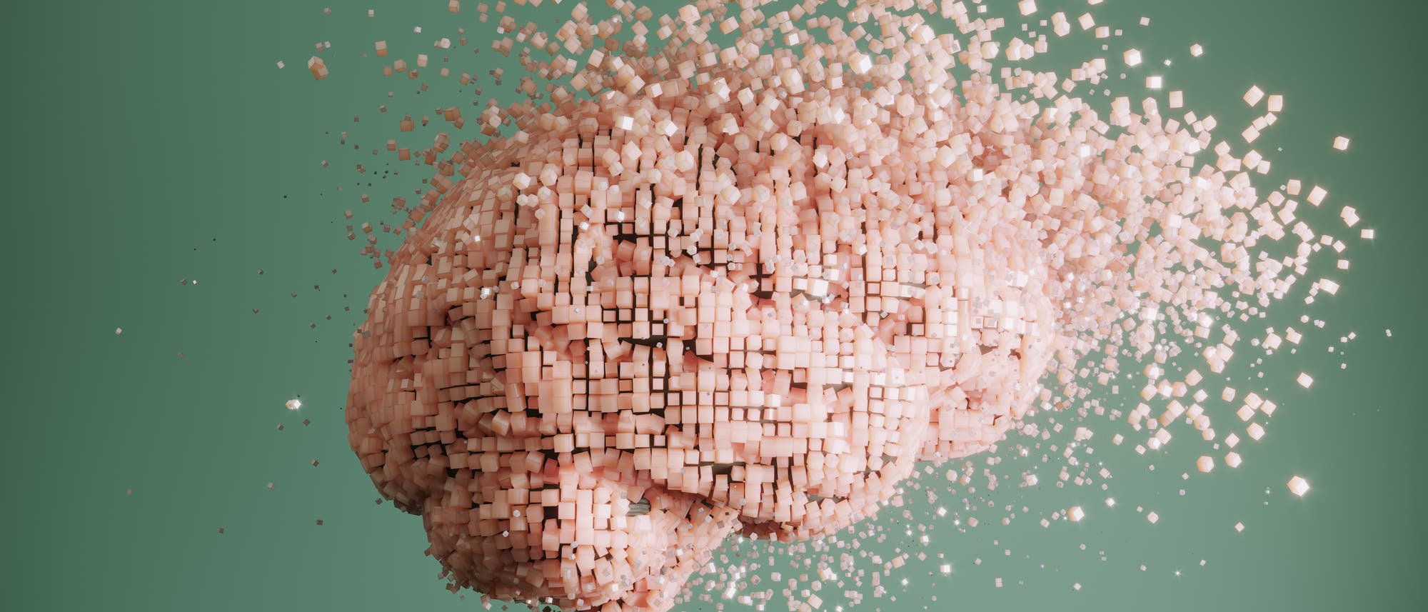 Eine 3D-Darstellung eines Gehirns, das aus zahlreichen kleinen Würfeln besteht, die sich in alle Richtungen auflösen. Der Hintergrund ist einfarbig grün, was den Fokus auf die detaillierte Struktur des Gehirns lenkt. Die Würfel symbolisieren möglicherweise die Zerlegung oder Analyse von Gehirnstrukturen.