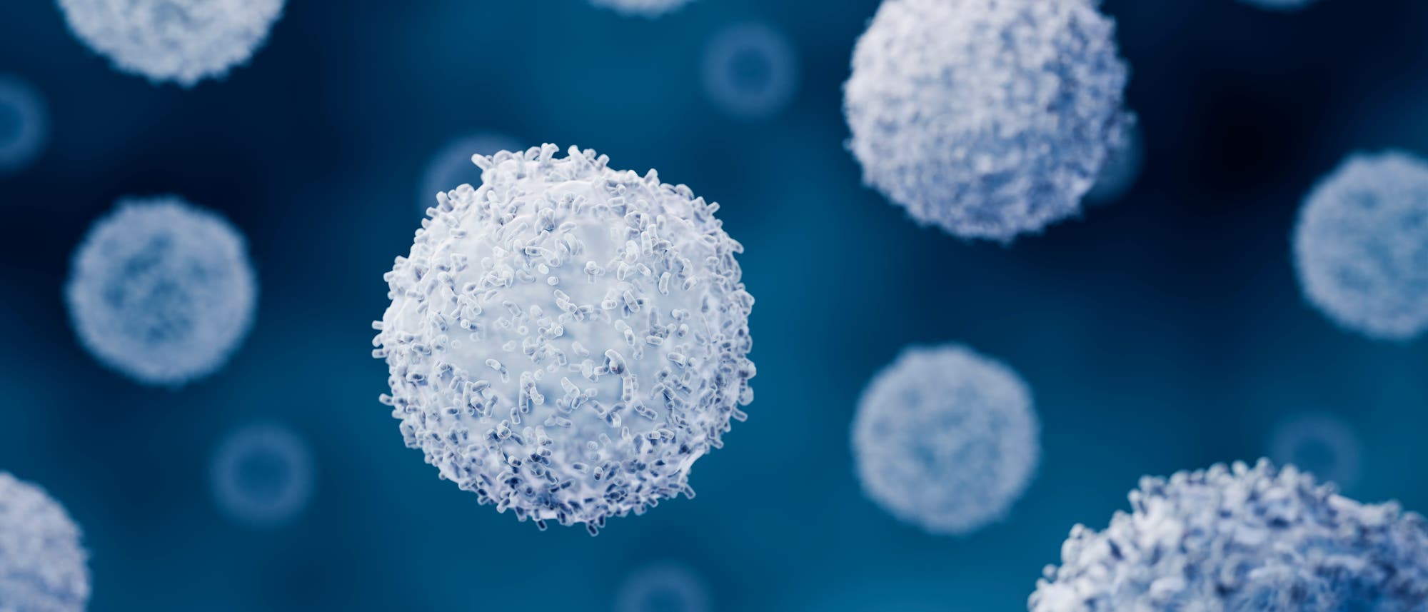 Eine wissenschaftliche Abbildung zeigt mehrere kugelförmige Lymphozyten, die im Raum schweben. Die Zellen haben eine unregelmäßige, strukturierte Oberfläche. Der Hintergrund ist unscharf und in Blautönen gehalten, was den Fokus auf die detaillierte Struktur der Zellen lenkt. Eine wissenschaftliche Abbildung zeigt mehrere kugelförmige Lymphozyten, die im Raum schweben. Die Zellen haben eine unregelmäßige, strukturierte Oberfläche. Der Hintergrund ist unscharf und in Blautönen gehalten, was den Fokus auf die detaillierte Struktur der Zellen lenkt.