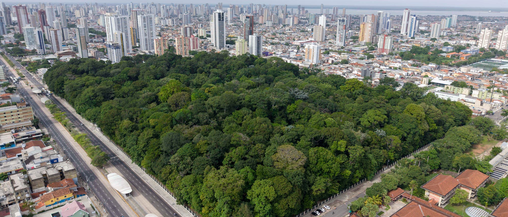 Luftaufnahme eines großen, dicht bewaldeten Parks inmitten einer städtischen Umgebung. Der Park ist von Straßen umgeben, auf denen Autos fahren. Im Hintergrund erstreckt sich eine Skyline mit zahlreichen Hochhäusern. Der Himmel ist bewölkt.