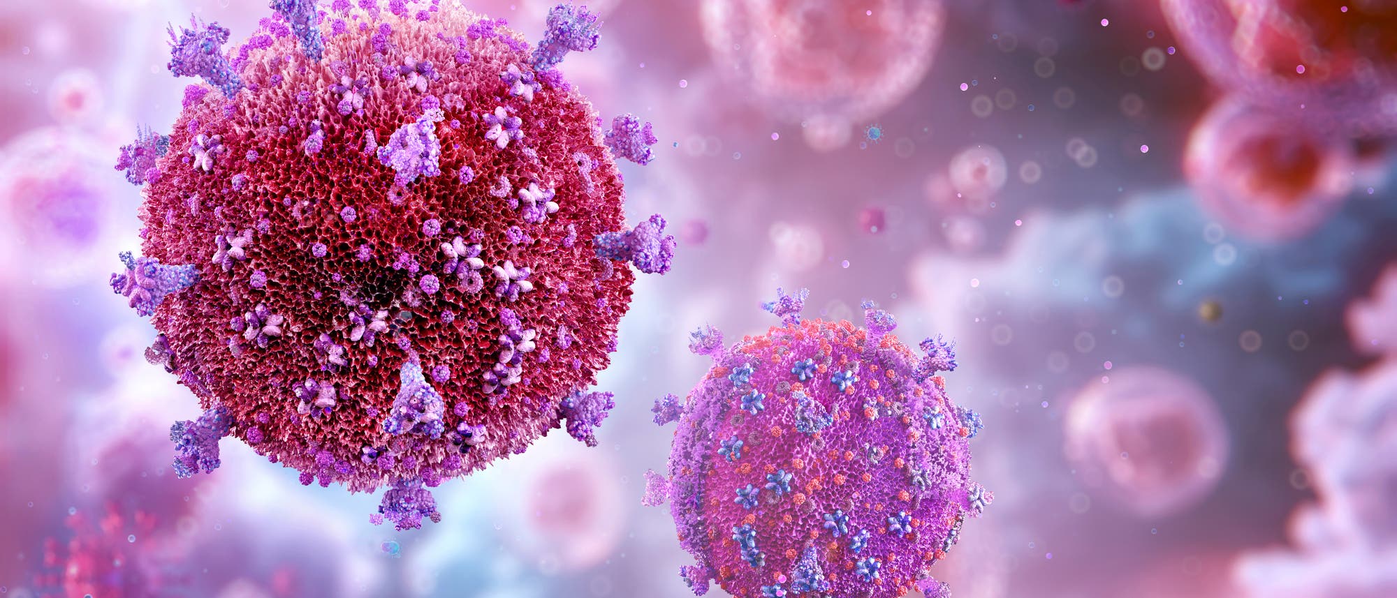 3D-Darstellung von Viren in einer mikroskopischen Ansicht. Die kugelförmigen Strukturen sind mit stachelartigen Proteinen bedeckt und schweben in einer rosa-violetten Umgebung. Die Darstellung betont die komplexe Struktur und die Oberfläche der Viren, um ihre Beschaffenheit und mögliche Interaktionen zu veranschaulichen. 3D-Darstellung von Viren in einer mikroskopischen Ansicht. Die kugelförmigen Strukturen sind mit stachelartigen Proteinen bedeckt und schweben in einer rosa-violetten Umgebung. Die Darstellung betont die komplexe Struktur und die Oberfläche der Viren, um ihre Beschaffenheit und mögliche Interaktionen zu veranschaulichen.