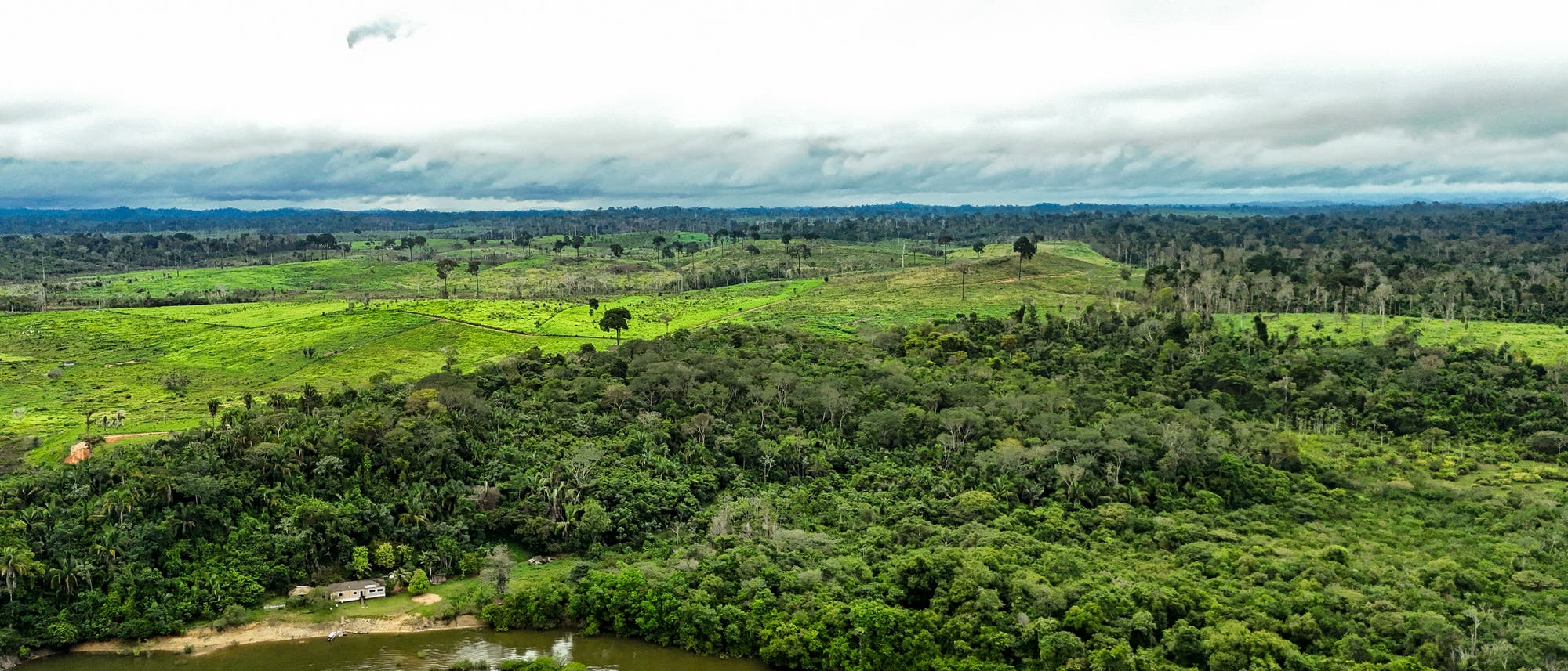 Luftaufnahme eines tropischen Regenwaldes mit einem Fluss im Vordergrund. Im Hintergrund sind gro&szlig;e, gr&uuml;ne Lichtungen zu sehen, die auf Abholzung hinweisen. Der Himmel ist bew&ouml;lkt, was auf ein feuchtes Klima hindeutet. Die Szene zeigt den Kontrast zwischen dichter Vegetation und gerodeten Fl&auml;chen.