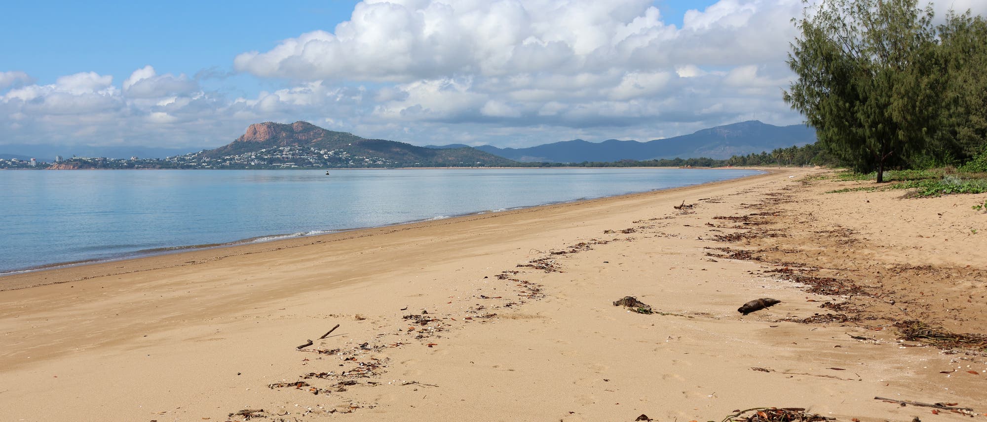 Eine ruhige Strandlandschaft mit goldenem Sand, der sich entlang der Küste erstreckt. Im Hintergrund sind sanfte Hügel und eine Stadt zu sehen. Der Himmel ist mit weißen Wolken bedeckt, und das Meer ist ruhig. Am Strand liegen verstreut einige Zweige und Blätter. Ein Baum steht rechts im Bild. Eine ruhige Strandlandschaft mit goldenem Sand, der sich entlang der Küste erstreckt. Im Hintergrund sind sanfte Hügel und eine Stadt zu sehen. Der Himmel ist mit weißen Wolken bedeckt, und das Meer ist ruhig. Am Strand liegen verstreut einige Zweige und Blätter. Ein Baum steht rechts im Bild.