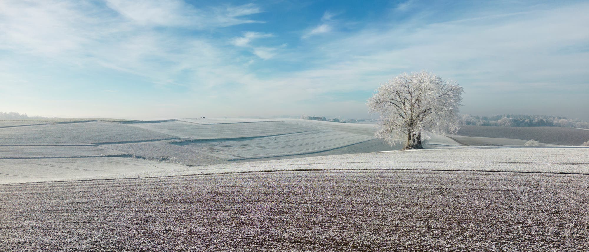 Eine verschneite Landschaft mit einem einzelnen, mit Raureif bedeckten Baum in der Mitte. Der Himmel ist klar und blau, mit einigen Wolken. Die Felder sind mit einer d&uuml;nnen Schneeschicht bedeckt, die sanft die Konturen der H&uuml;gel betont. Die Szene vermittelt eine ruhige, winterliche Atmosph&auml;re.