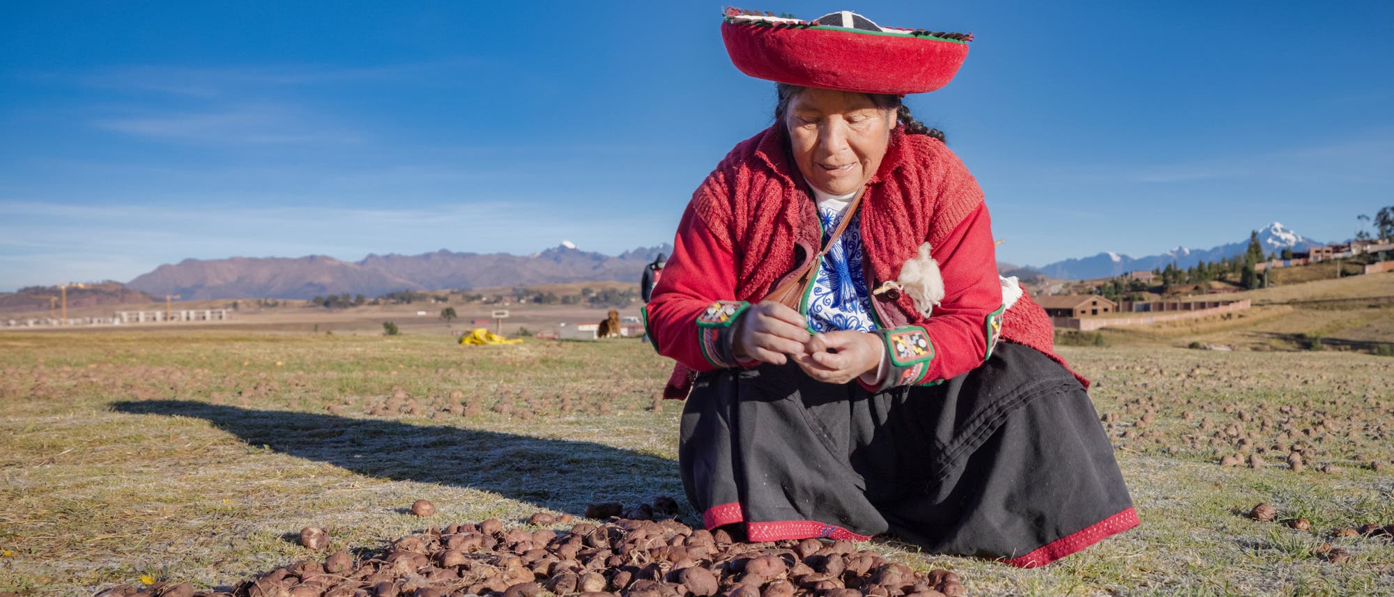 Eine Person in traditioneller Kleidung hockt auf einem Feld und sortiert braune Knollen, m&ouml;glicherweise Kartoffeln. Im Hintergrund sind eine weite Landschaft und Berge unter einem klaren blauen Himmel zu sehen. Die Szene vermittelt einen Eindruck von landwirtschaftlicher Arbeit in einer l&auml;ndlichen Umgebung.