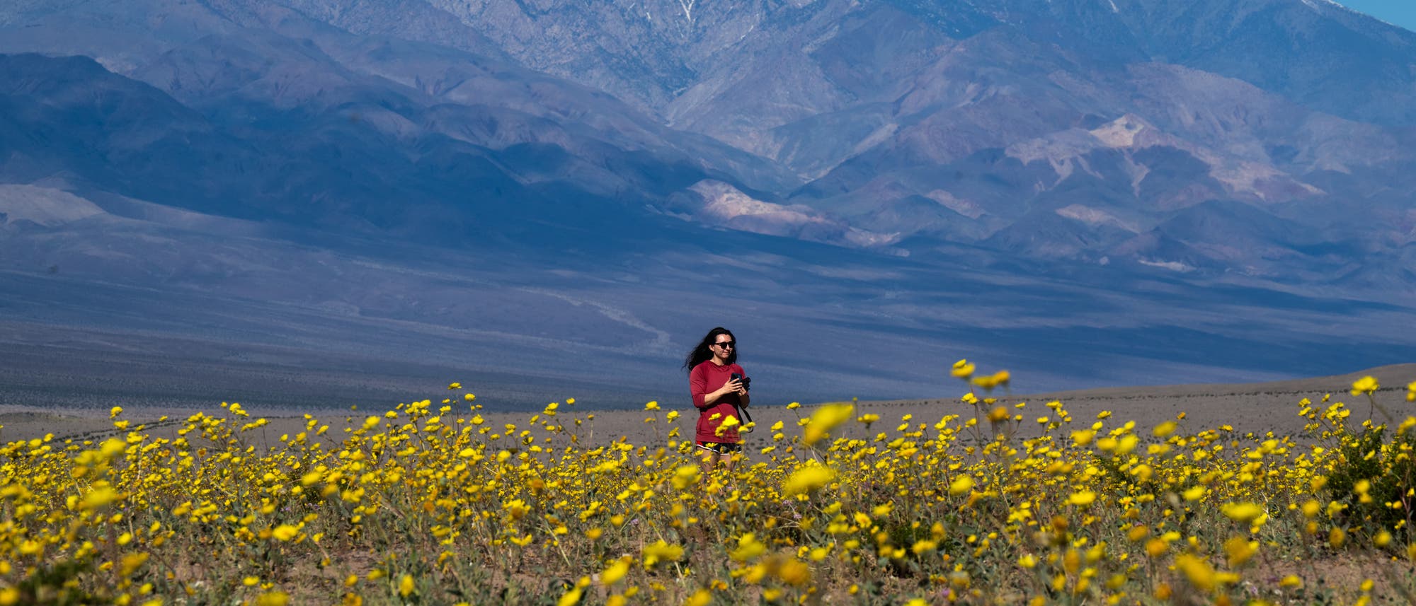 Eine Person steht in einem Feld voller gelber Wildblumen, umgeben von einer weiten, trockenen Landschaft. Im Hintergrund erhebt sich eine beeindruckende Bergkette mit schneebedeckten Gipfeln unter einem klaren blauen Himmel. Die Szene vermittelt ein Gef&uuml;hl von Ruhe und Weite.