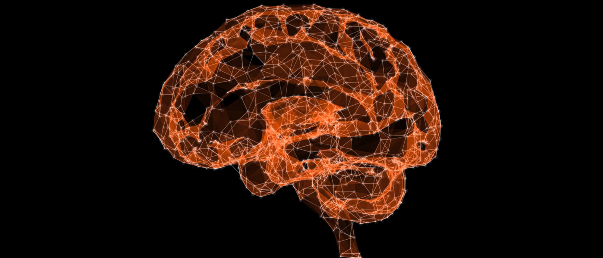 3D-Darstellung eines menschlichen Gehirns, bestehend aus einem Netzwerk von orangefarbenen, miteinander verbundenen Linien und Punkten auf schwarzem Hintergrund. Die Struktur zeigt die komplexe Vernetzung und Form des Gehirns, betont durch die geometrische Anordnung der Linien. 3D-Darstellung eines menschlichen Gehirns, bestehend aus einem Netzwerk von orangefarbenen, miteinander verbundenen Linien und Punkten auf schwarzem Hintergrund. Die Struktur zeigt die komplexe Vernetzung und Form des Gehirns, betont durch die geometrische Anordnung der Linien.