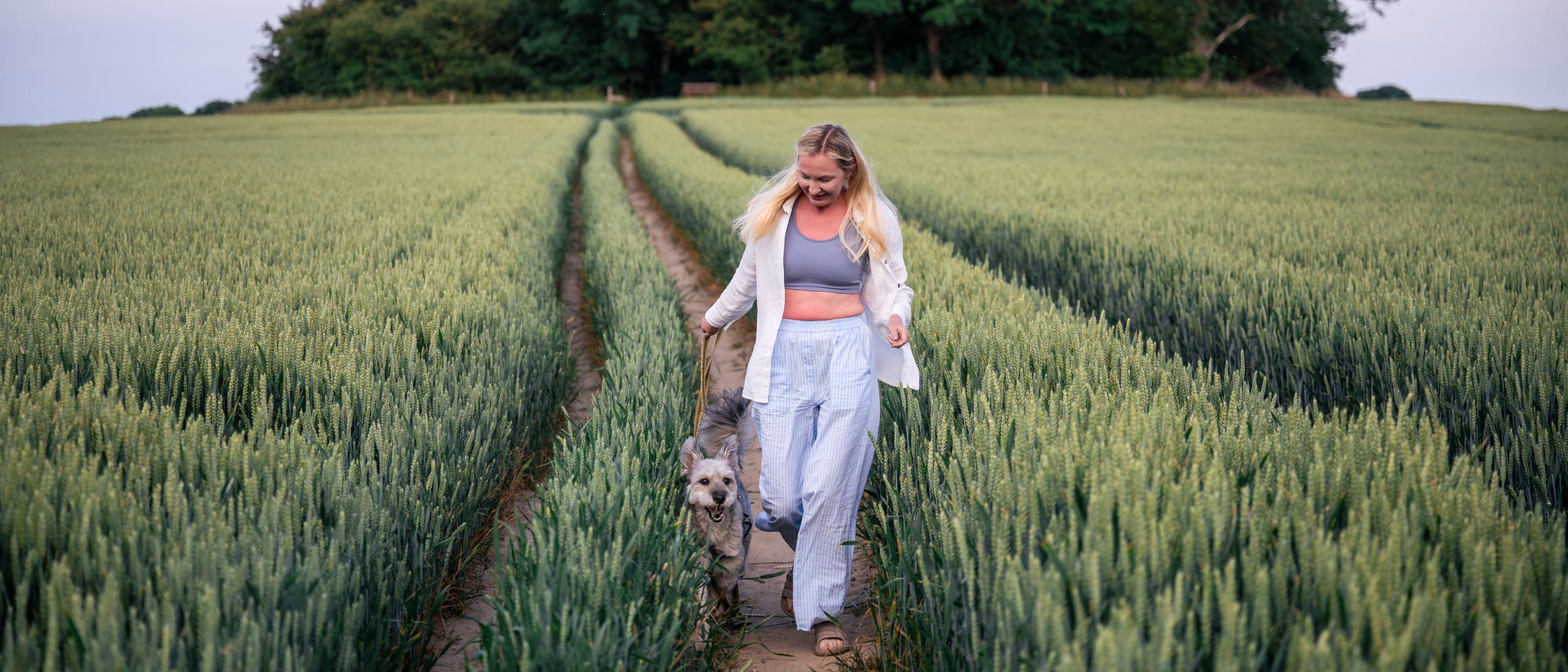 Eine Person geht mit einem Hund an der Leine durch ein grünes Weizenfeld. Im Hintergrund sind Bäume und ein klarer Himmel zu sehen. Die Person trägt eine helle Jacke und eine Hose und lächelt, während sie den Hund führt. Eine Person geht mit einem Hund an der Leine durch ein grünes Weizenfeld. Im Hintergrund sind Bäume und ein klarer Himmel zu sehen. Die Person trägt eine helle Jacke und eine Hose und lächelt, während sie den Hund führt.