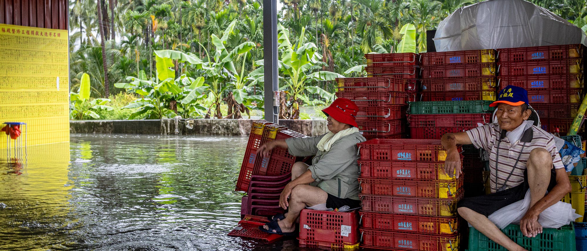 Ein älteres Ehepaar sitzt am 25. Juni 2026 in Pingtung, Taiwan, auf gestapelten Plastikkisten in einem überfluteten landwirtschaftlichen Lagerraum, um ihre Füße aus dem steigenden Wasser zu halten. Der Landkreis Pingtung im Süden Taiwans wurde während der Südwest-Monsunzeit überschwemmt, wobei tief liegende landwirtschaftliche Flächen und städtische Gebiete besonders anfällig für anhaltende Überschwemmungen sind. Ein älteres Ehepaar sitzt am 25. Juni 2026 in Pingtung, Taiwan, auf gestapelten Plastikkisten in einem überfluteten landwirtschaftlichen Lagerraum, um ihre Füße aus dem steigenden Wasser zu halten. Der Landkreis Pingtung im Süden Taiwans wurde während der Südwest-Monsunzeit überschwemmt, wobei tief liegende landwirtschaftliche Flächen und städtische Gebiete besonders anfällig für anhaltende Überschwemmungen sind.