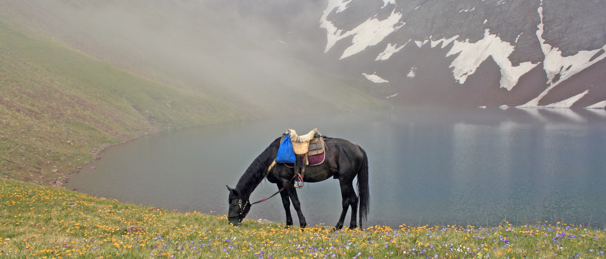 Ein schwarzes Pferd mit Sattel und Satteltaschen grast auf einer blühenden Wiese vor einem ruhigen Bergsee. Im Hintergrund sind schneebedeckte Berge und Nebel zu sehen, die eine friedliche und malerische Landschaft schaffen.