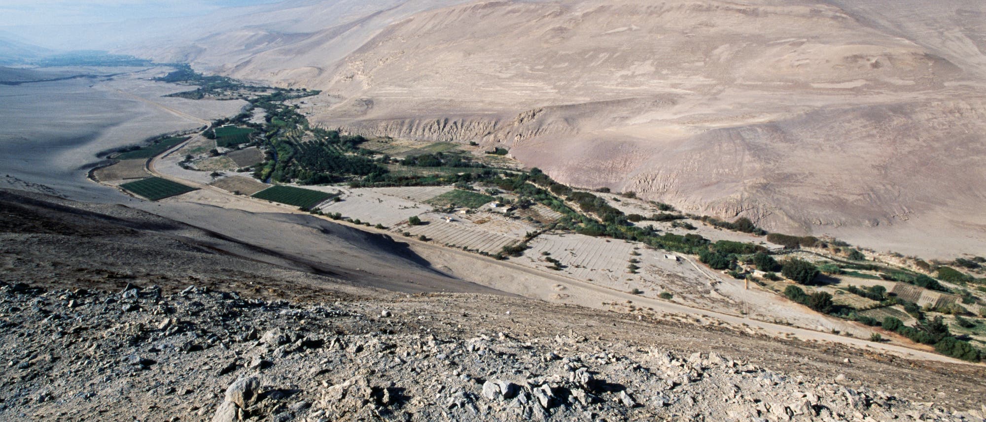 Weitläufige Wüstenlandschaft mit einem grünen Tal, das sich durch die Mitte zieht. Das Tal enthält landwirtschaftliche Felder und Bäume, die sich von der trockenen, felsigen Umgebung abheben. Im Hintergrund sind sanfte Hügel und ein klarer blauer Himmel zu sehen.