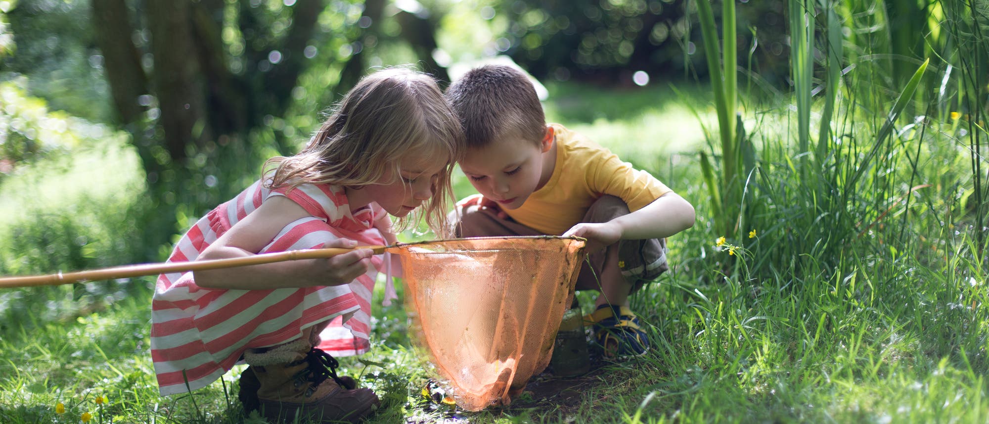 Ein kleines Mädchen und ein kleiner Junge hocken in der Natur vor einem Kescher und schauen neugierig hinein.