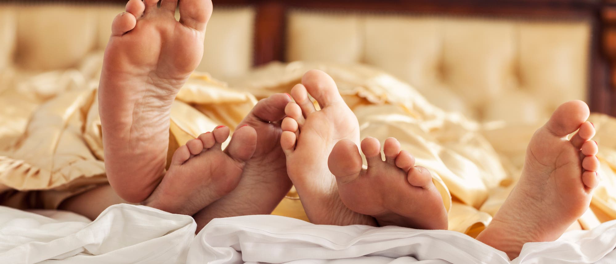 Drei Paar Füße ragen unter einer goldenen Bettdecke hervor, die auf einem Bett mit einem gepolsterten Kopfteil liegt. Die Szene vermittelt ein Gefühl von Entspannung und Gemütlichkeit.