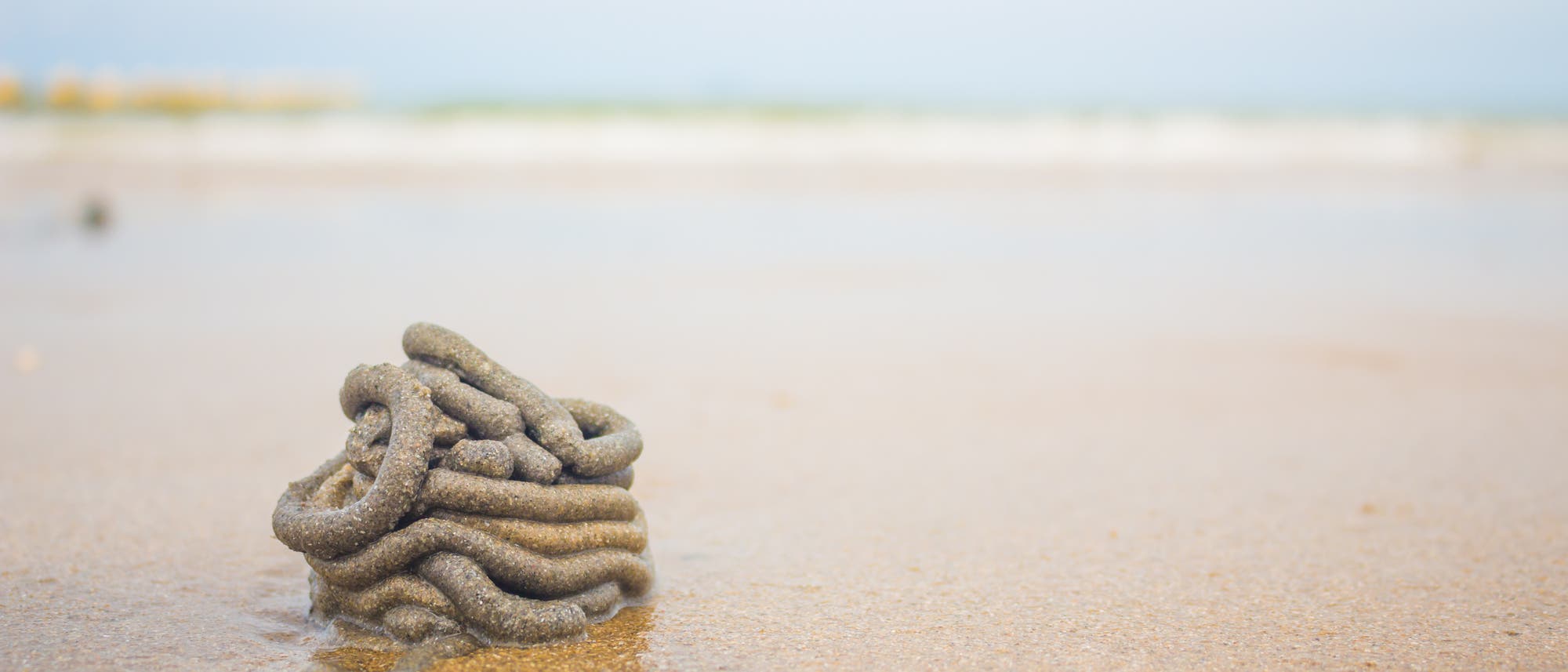 Ein ausgeschiedener Haufen eines Wattwurms auf einem sandigen Strand, im Vordergrund des Bildes. Der Hintergrund zeigt verschwommen das Meer mit sanften Wellen unter einem blauen Himmel. Der Haufen legt sich in mehreren Schlingen zu einem kleinen T&uuml;rmchen.