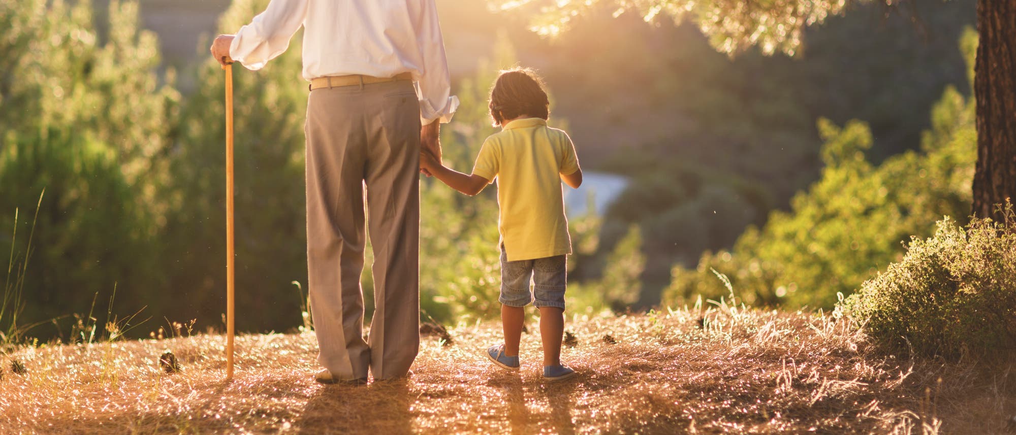 Ein &auml;lterer Mann und ein Kind stehen in einem sonnendurchfluteten Wald. Der Mann h&auml;lt einen Gehstock und h&auml;lt die Hand des Kindes. Beide blicken in die Ferne, umgeben von gr&uuml;nen B&auml;umen und goldenem Licht. Die Szene vermittelt ein Gef&uuml;hl von Ruhe und Verbundenheit in der Natur.