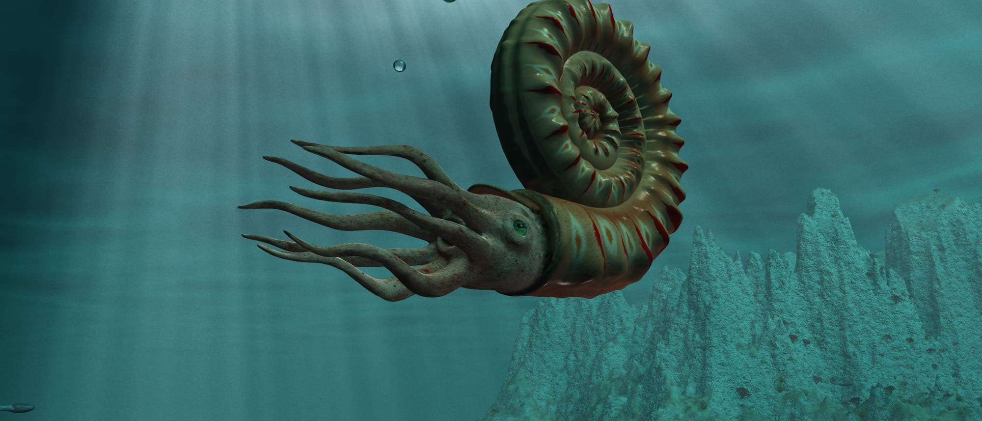 Eine 3D-Darstellung eines pr&auml;historischen Meeres mit einem Ammoniten im Vordergrund. Der Ammonit hat eine spiralf&ouml;rmige Schale und mehrere Tentakel. Im Hintergrund sind Unterwasserfelsen und Korallen zu sehen, durch die Sonnenstrahlen ins Wasser fallen. Luftblasen steigen zur Wasseroberfl&auml;che auf. Die Szene vermittelt ein Gef&uuml;hl von Tiefe und antiker Meeresumgebung.