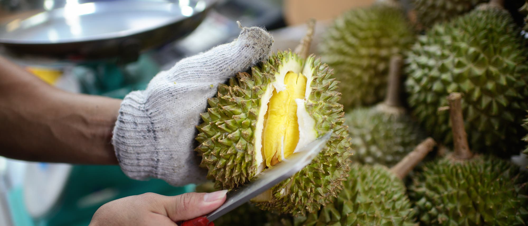 Eine Person mit einem wei&szlig;en Handschuh h&auml;lt eine Durianfrucht und schneidet sie mit einem Messer auf, um das gelbe Fruchtfleisch im Inneren freizulegen. Im Hintergrund sind weitere Durianfr&uuml;chte zu sehen. Die Szene spielt sich in einem Markt oder Gesch&auml;ft ab, wo die Fr&uuml;chte verkauft werden.