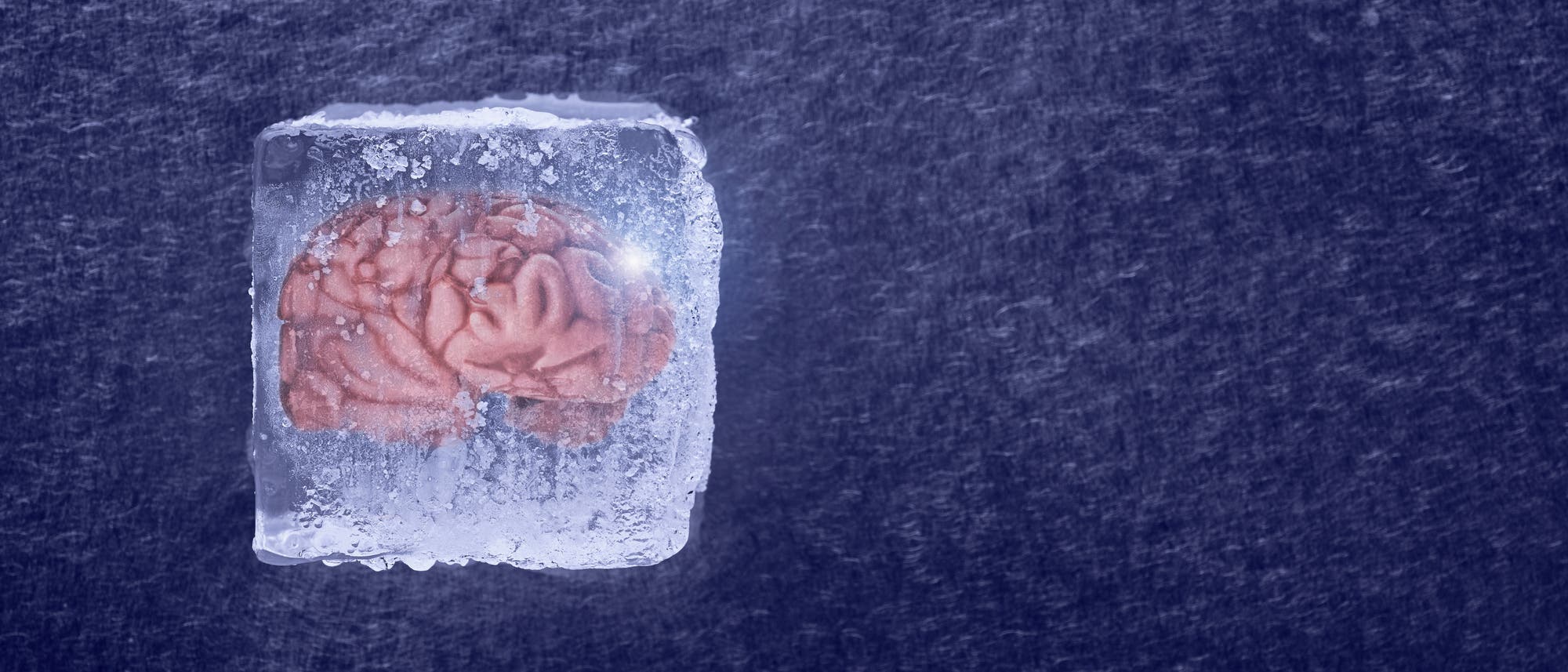 Jahrtausendealte indische Inschriften in Ägypten entdeckt 