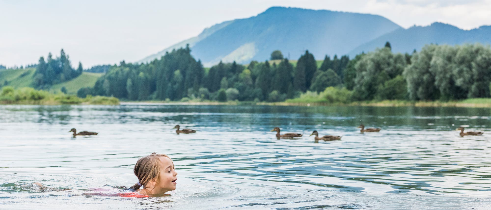 Ein Kind schwimmt in einem ruhigen See, umgeben von einer Gruppe Enten. Im Hintergrund sind bewaldete Hügel und Berge unter einem bewölkten Himmel zu sehen. Die Szene vermittelt eine friedliche und natürliche Atmosphäre. Ein Kind schwimmt in einem ruhigen See, umgeben von einer Gruppe Enten. Im Hintergrund sind bewaldete Hügel und Berge unter einem bewölkten Himmel zu sehen. Die Szene vermittelt eine friedliche und natürliche Atmosphäre.