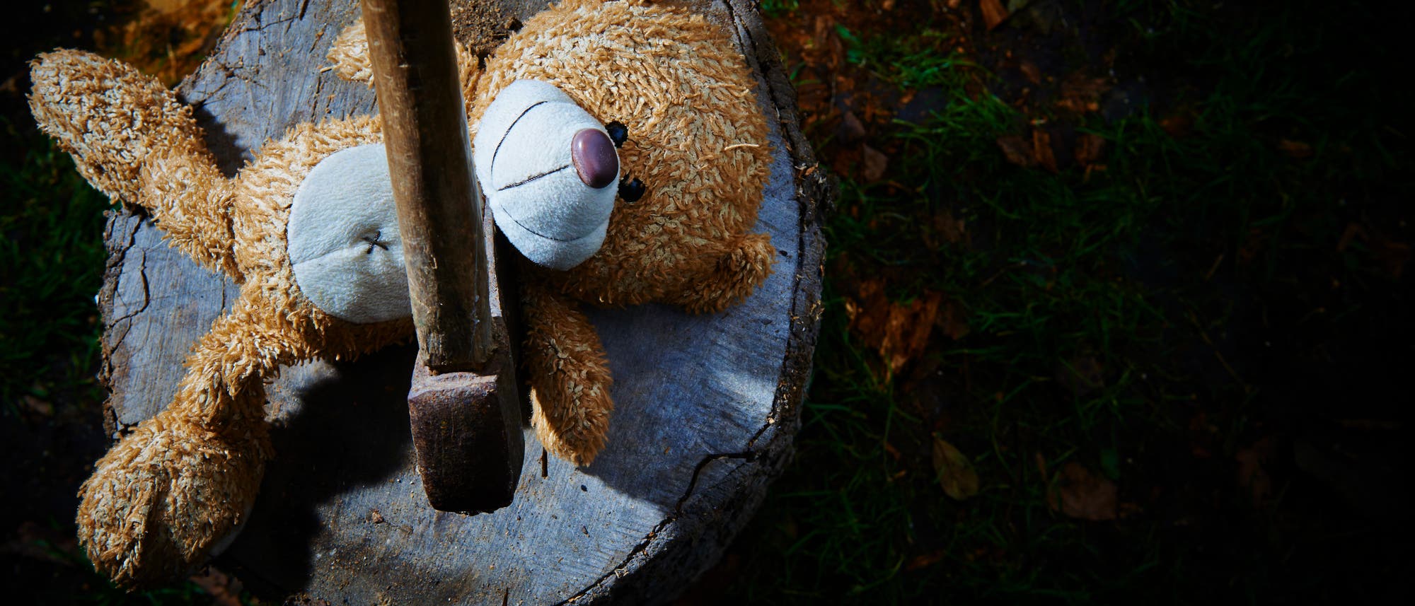 Ein Plüschbär liegt auf einem Baumstumpf, durch den ein Axtstiel ragt. Der Bär ist seitlich positioniert, und die Szene ist von oben fotografiert. Der Hintergrund zeigt Gras und Erde, was auf eine Outdoor-Umgebung hinweist. Ein Plüschbär liegt auf einem Baumstumpf, durch den ein Axtstiel ragt. Der Bär ist seitlich positioniert, und die Szene ist von oben fotografiert. Der Hintergrund zeigt Gras und Erde, was auf eine Outdoor-Umgebung hinweist.