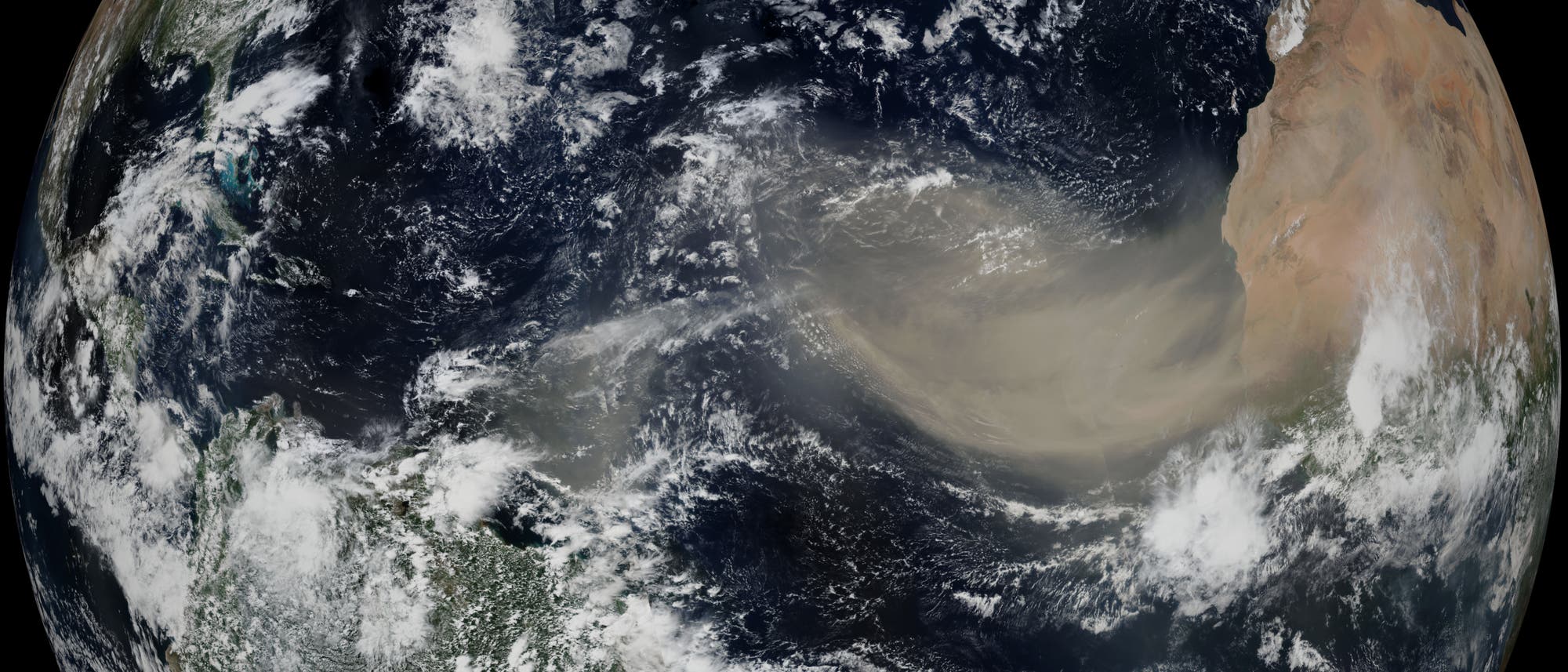 Eine gelblich braune Staubwolke driftet von der Sahara rechts nach links auf den dunkelblauen Atlantik hinaus. Im Satellitenbild sieht man auch einzelne weiße Wolken