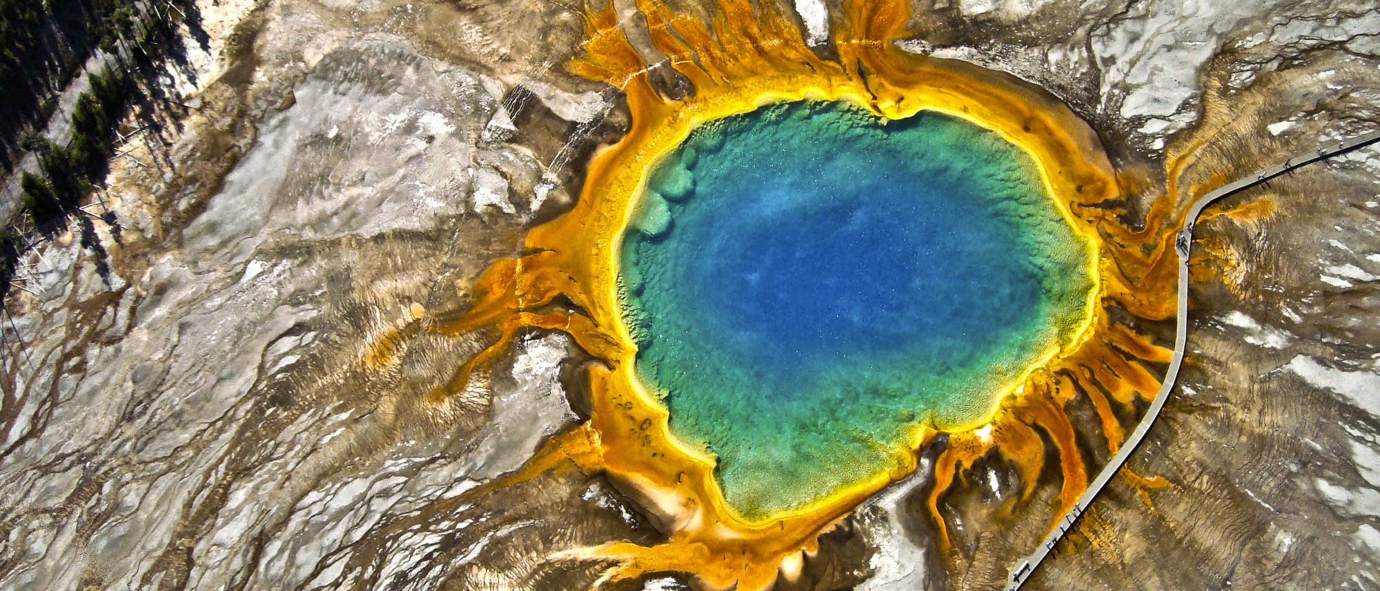 Das Leben könnte an Orten wie der Grand Prismatic- Thermalquelle im Yellowstone-Nationalpark begonnen haben.