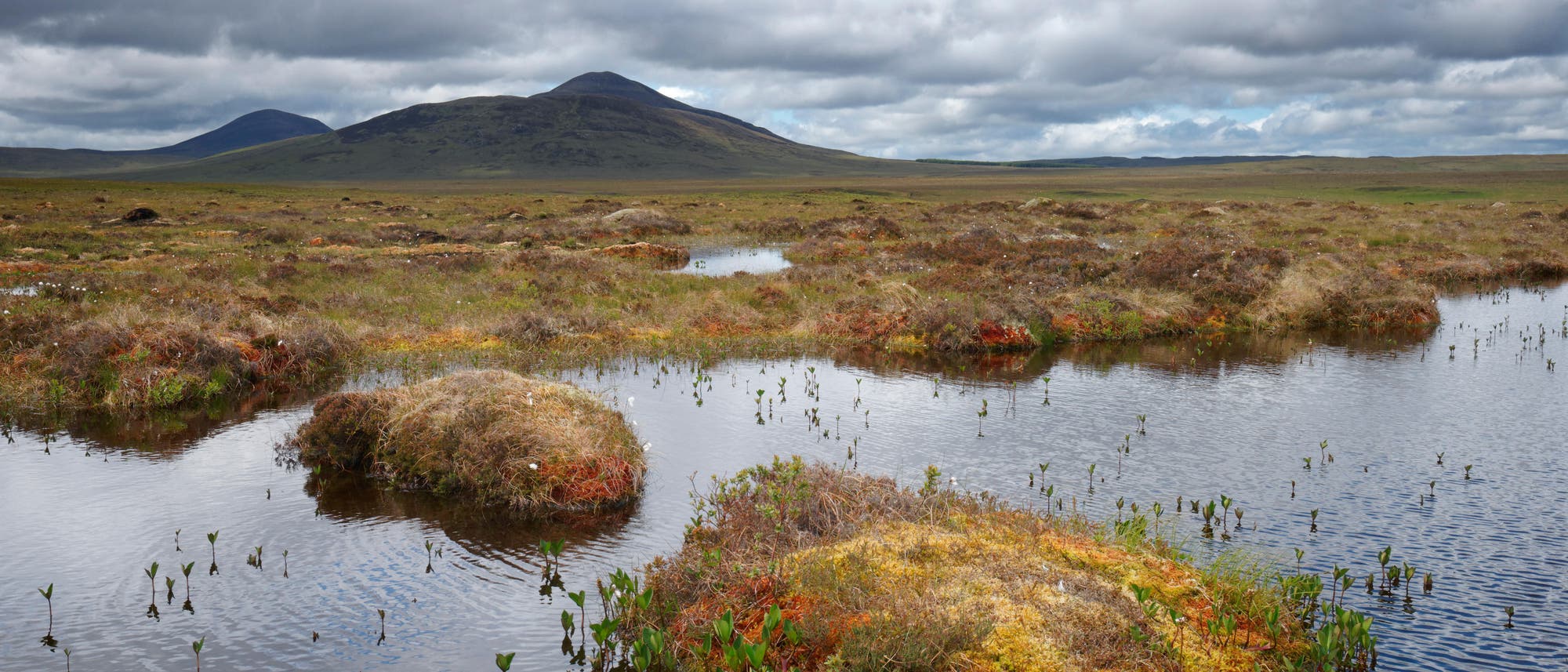 Forsinard-Flows-Naturreservat in Schottland