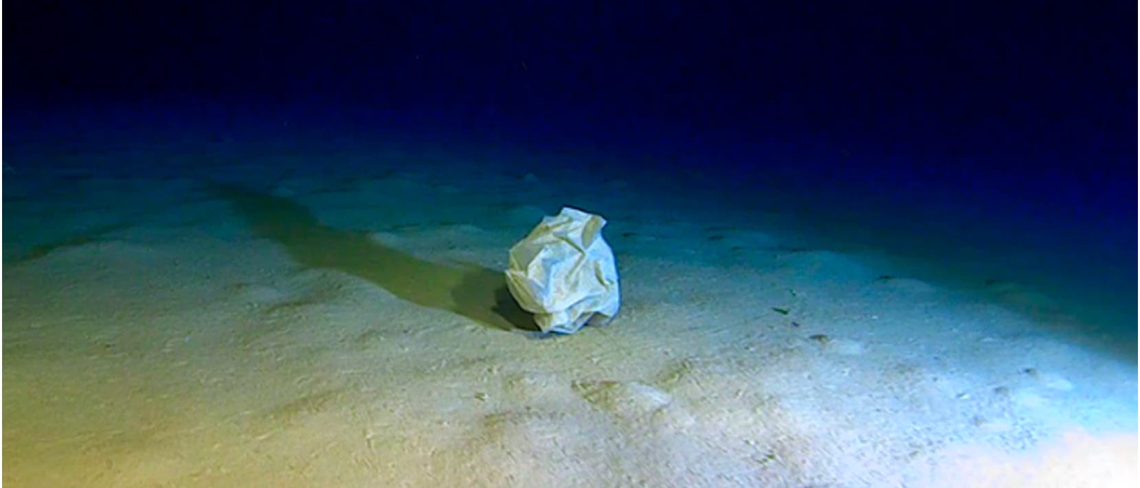 Eine zerknitterte Plastiktüte liegt auf dem sandigen Meeresboden in der Tiefsee. Der Hintergrund ist dunkelblau, was die Tiefe des Wassers andeutet. In der unteren rechten Ecke ist eine Maßangabe von 15 cm zu sehen, die die Größe der Tüte im Verhältnis zur Umgebung verdeutlicht. Das Bild zeigt die Auswirkungen von Umweltverschmutzung in den Ozeanen. Eine zerknitterte Plastiktüte liegt auf dem sandigen Meeresboden in der Tiefsee. Der Hintergrund ist dunkelblau, was die Tiefe des Wassers andeutet. In der unteren rechten Ecke ist eine Maßangabe von 15 cm zu sehen, die die Größe der Tüte im Verhältnis zur Umgebung verdeutlicht. Das Bild zeigt die Auswirkungen von Umweltverschmutzung in den Ozeanen.
