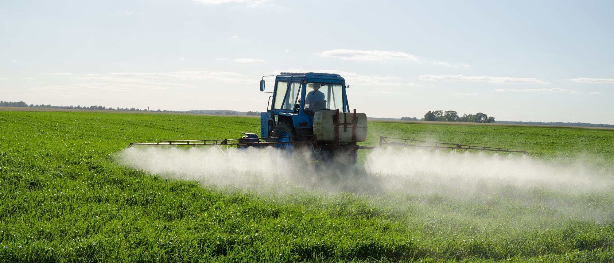 Traktor sprüht Herbizide auf grünem Feld